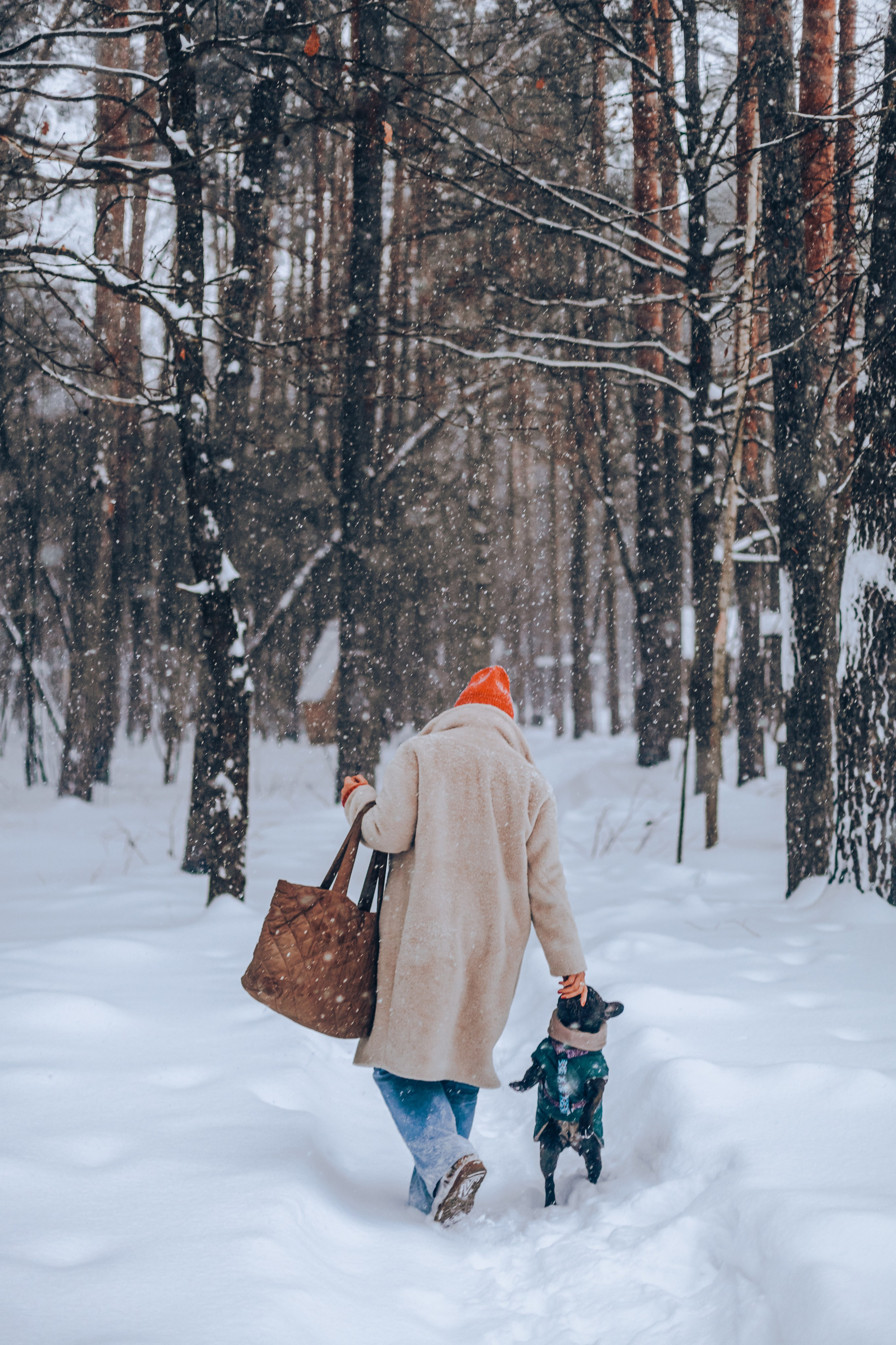 Кантри Хаус. Фотограф-анималист Татьяна Степанова