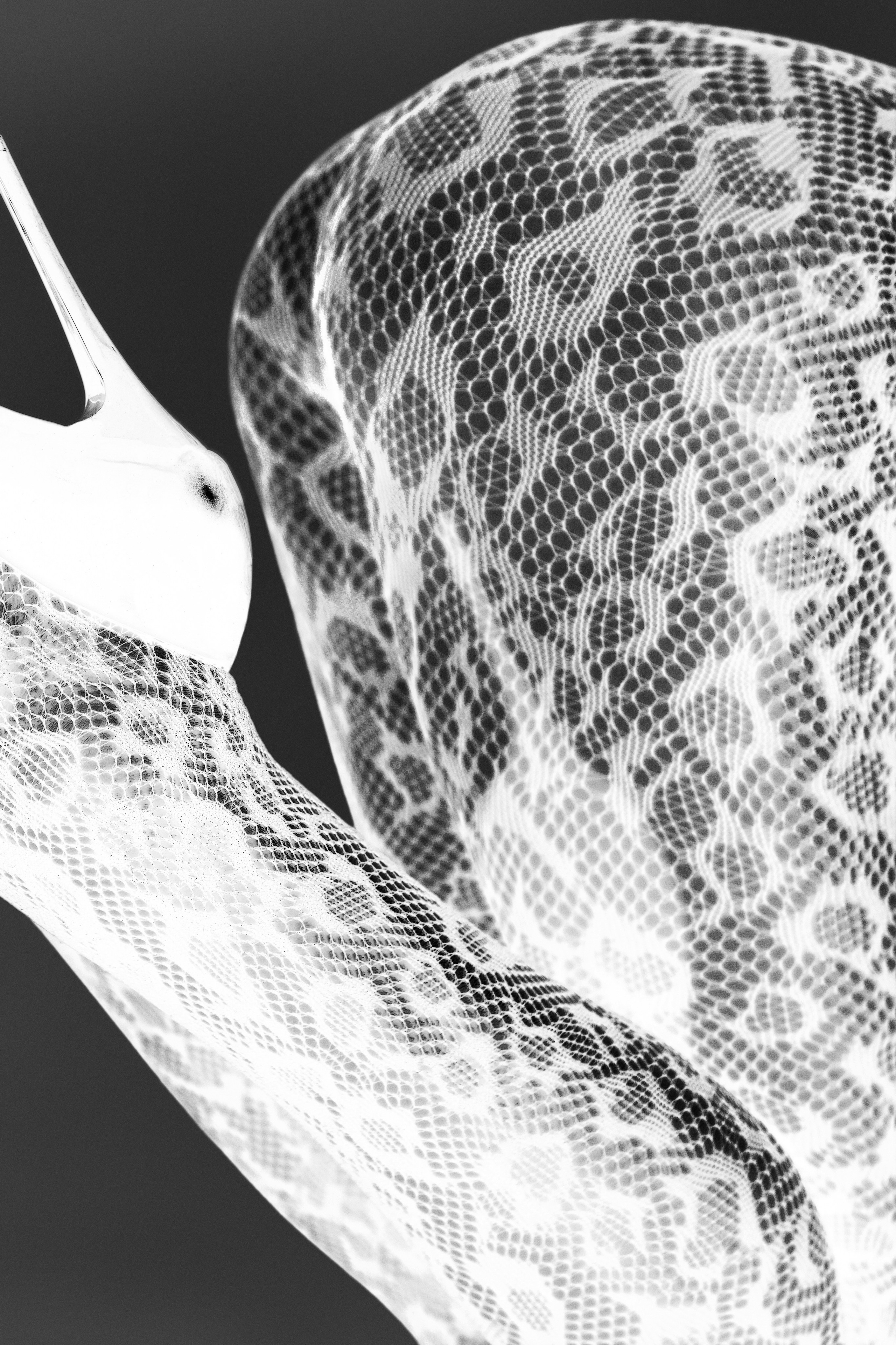 INVERT. Фотограф Алматы | Весь мир — Никита Колодин