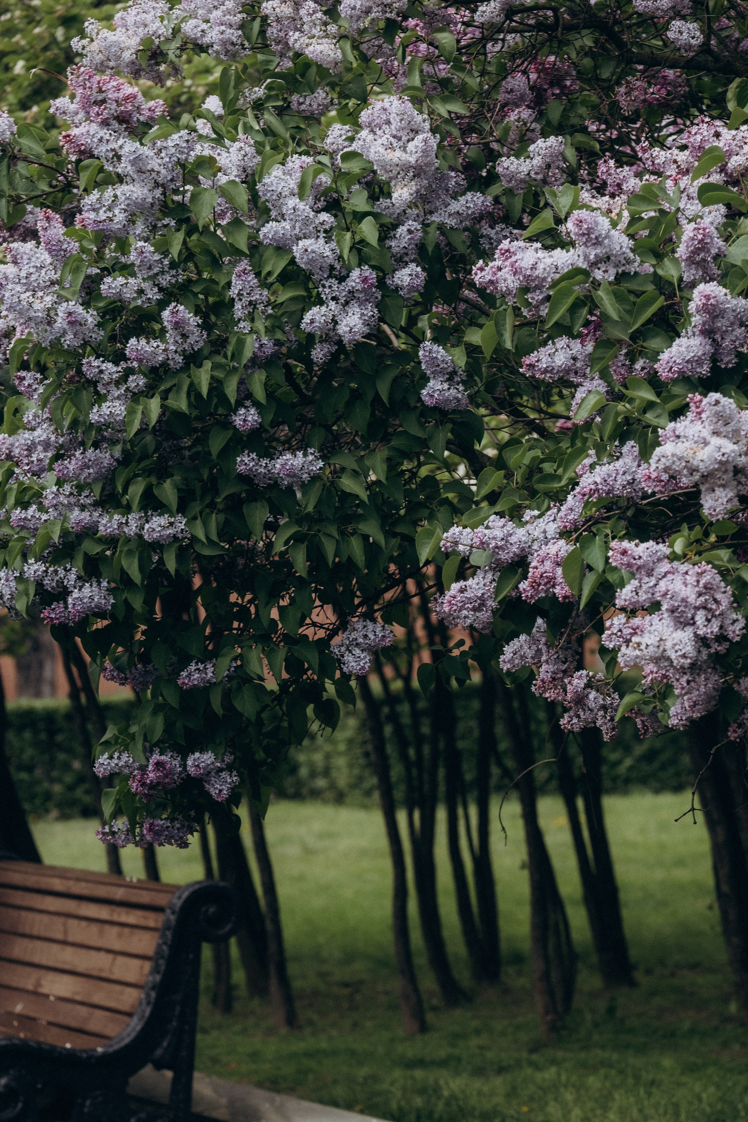 ПРОГУЛКА В МИНСКЕ. Профессиональный фотограф, Санкт-Петербург — Виктория Богомолова