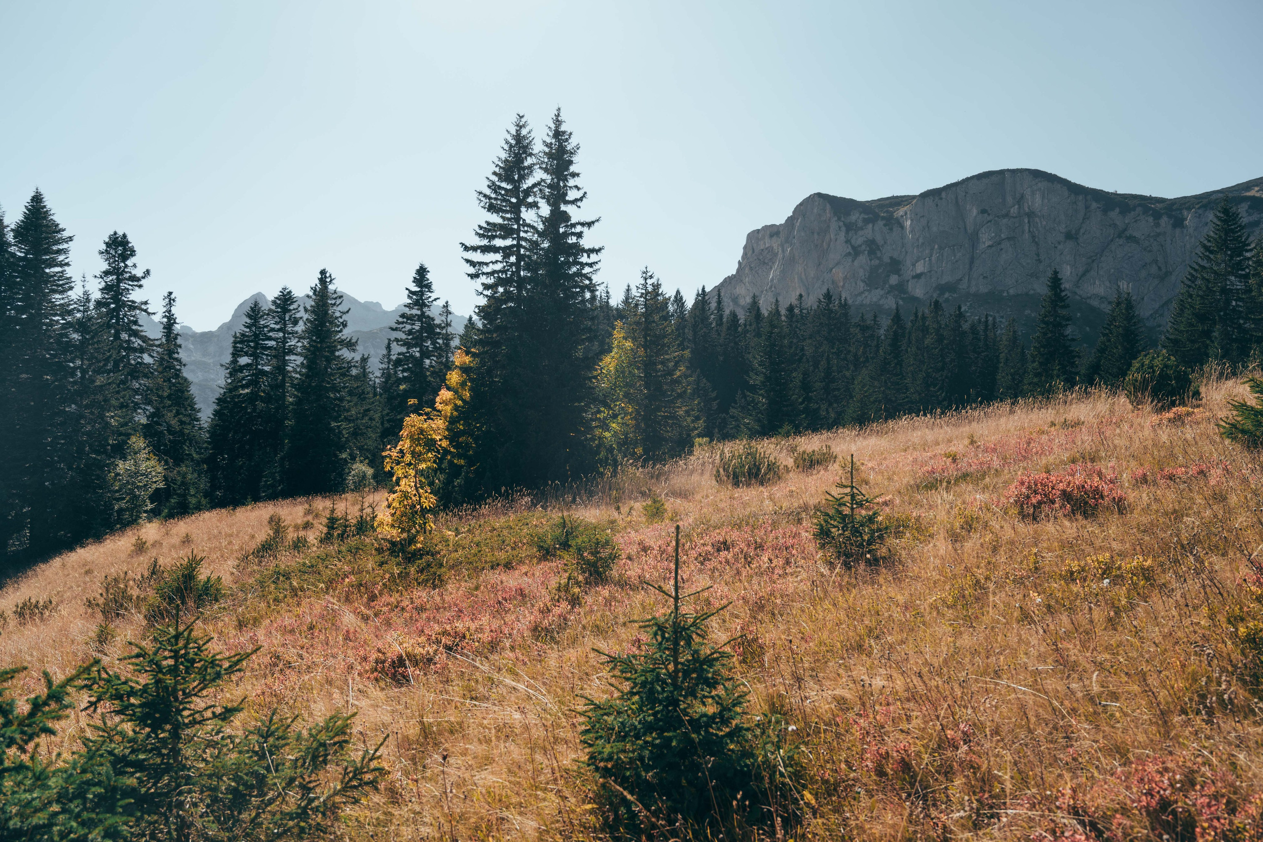 ЦРВЕНА ГРЕДА. ЧЕРНОГОРИЯ. Фотограф в Белграде Чугреева Елена