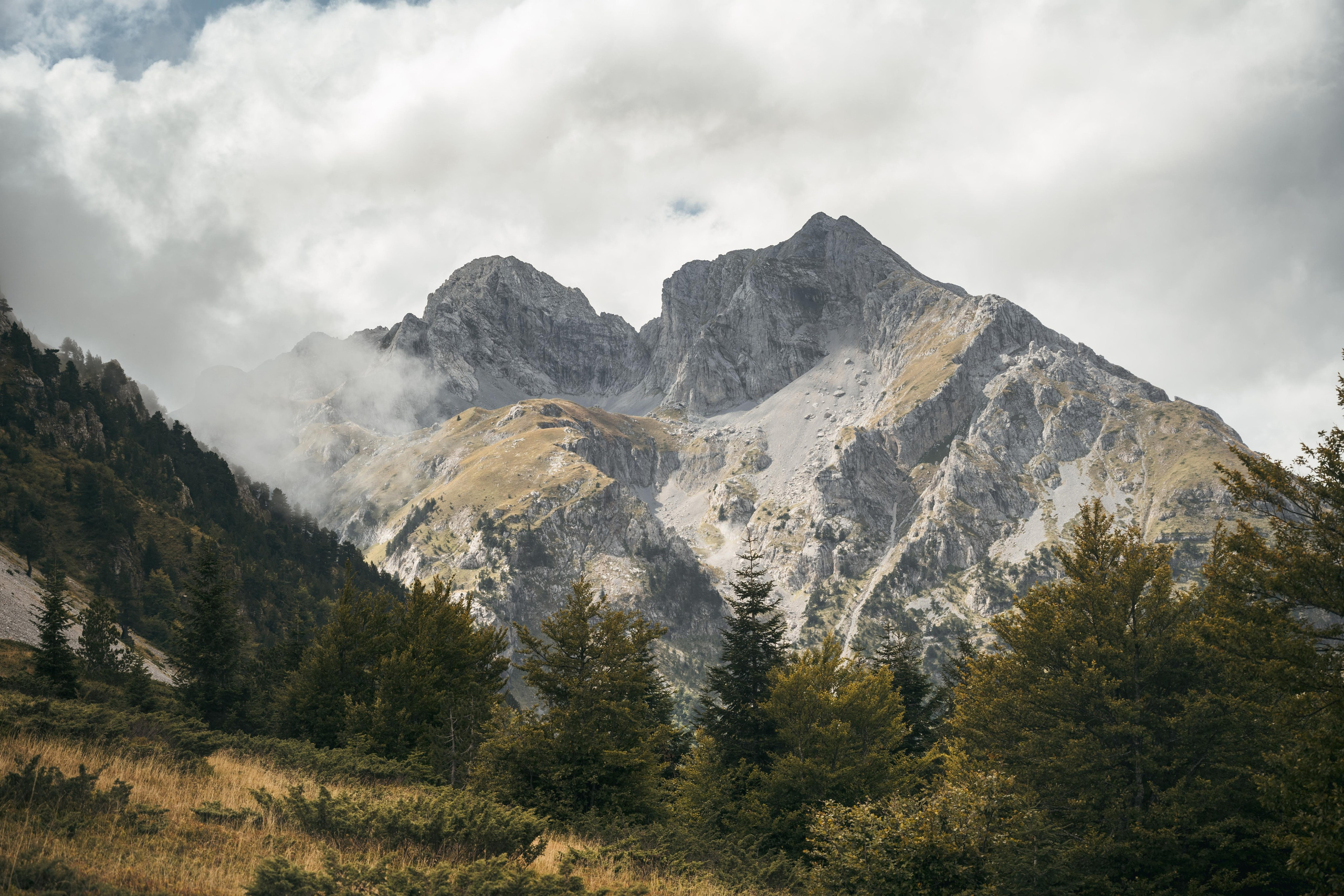 ГОРЫ КОМОВИ. ЧЕРНОГОРИЯ. Фотограф в Белграде Чугреева Елена
