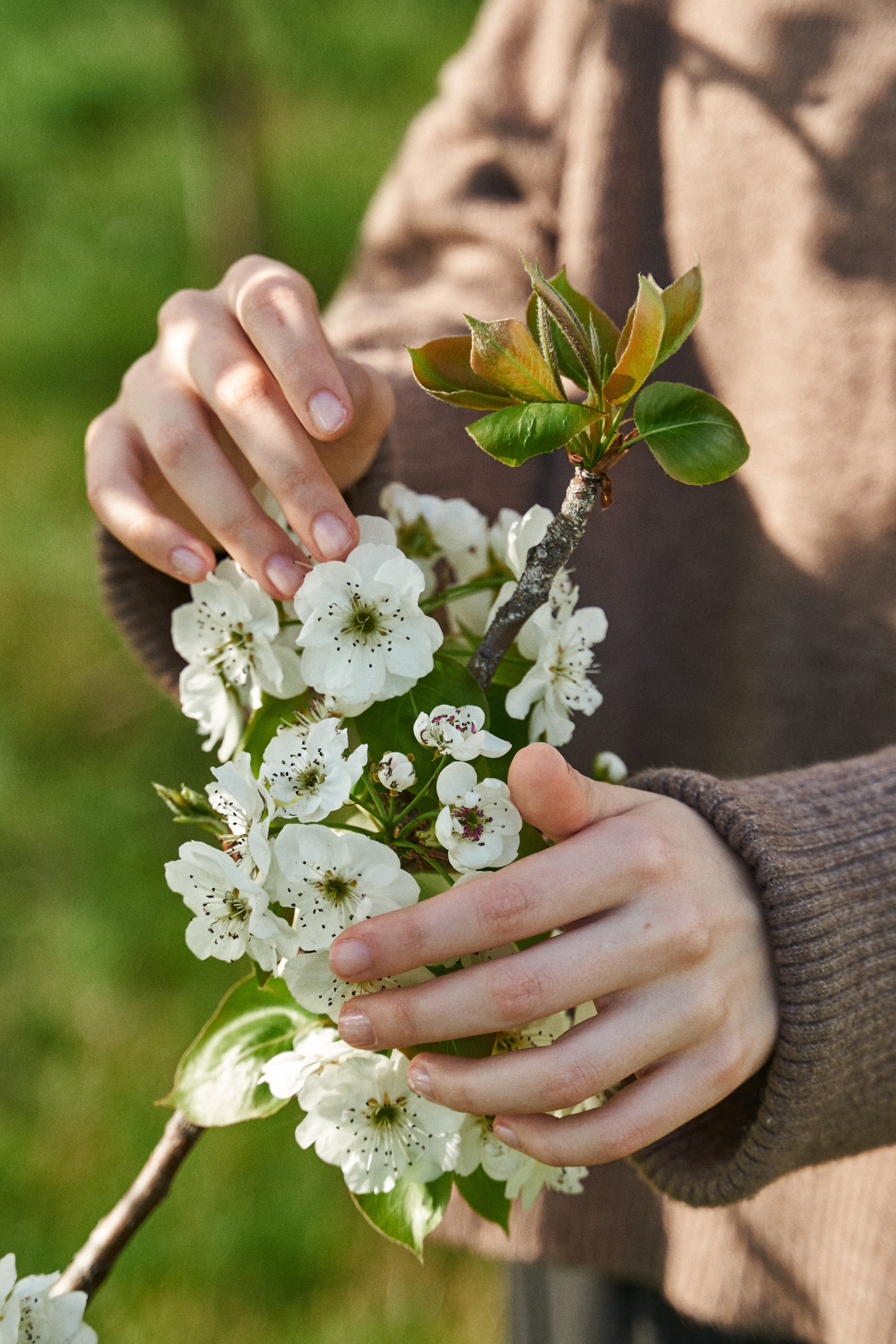 Фотосессия Марии в цветении. Фотограф Абхазия|Цандрипш|Гагра|Сириус|Красная Поляна Артём Большаков