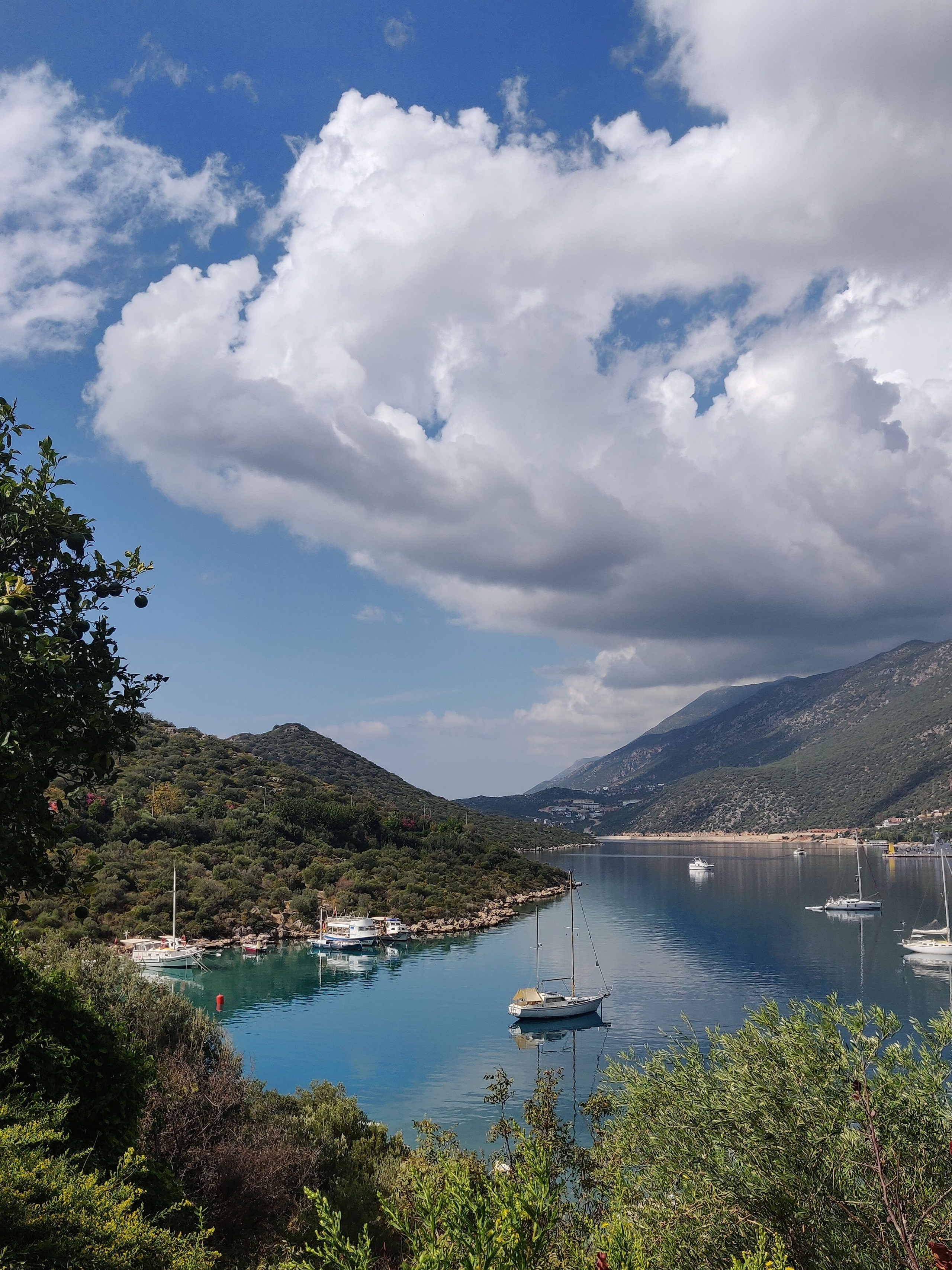 Автор: Евгения Бушменова