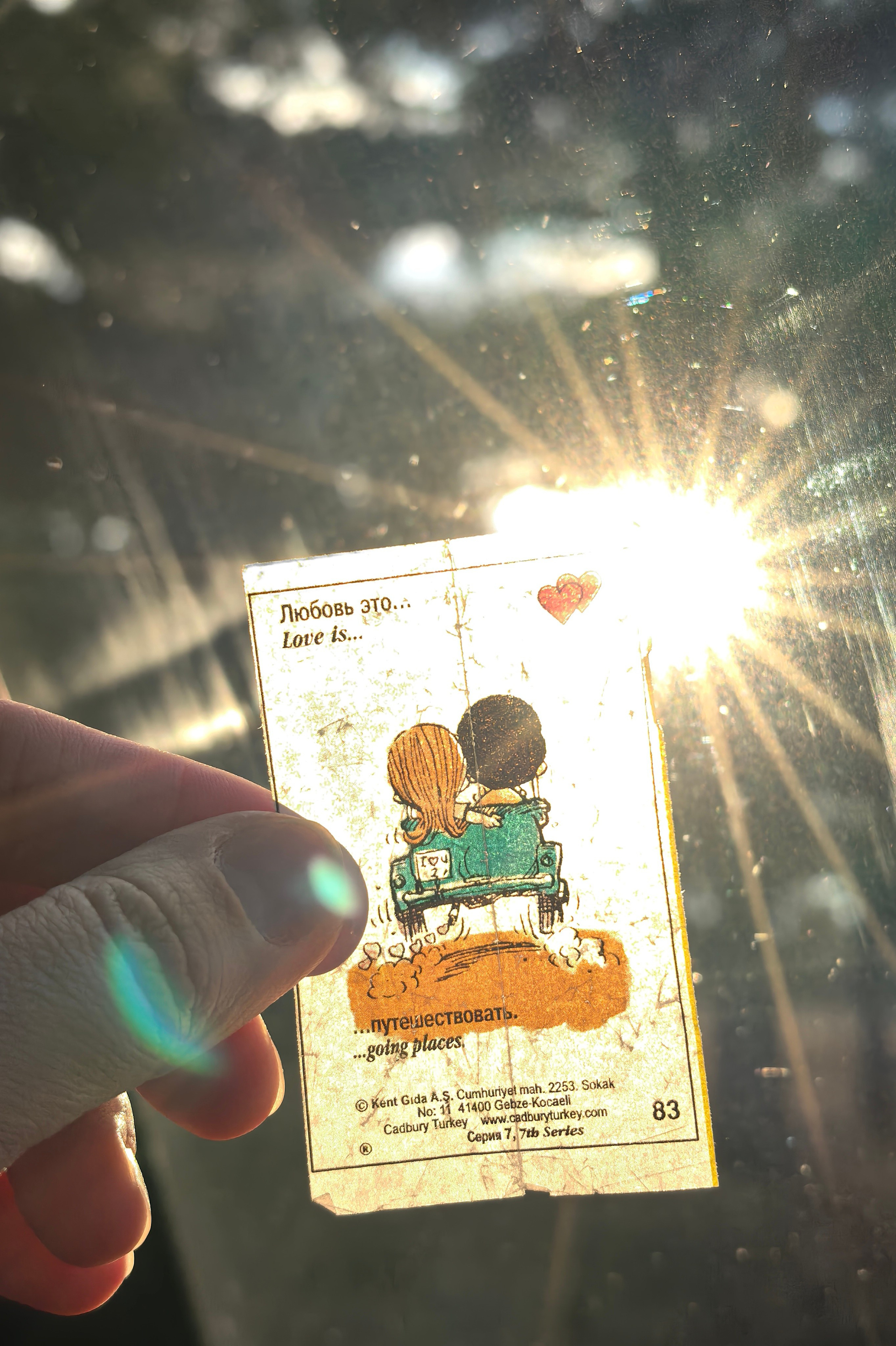 Автор: Саша Серебровская