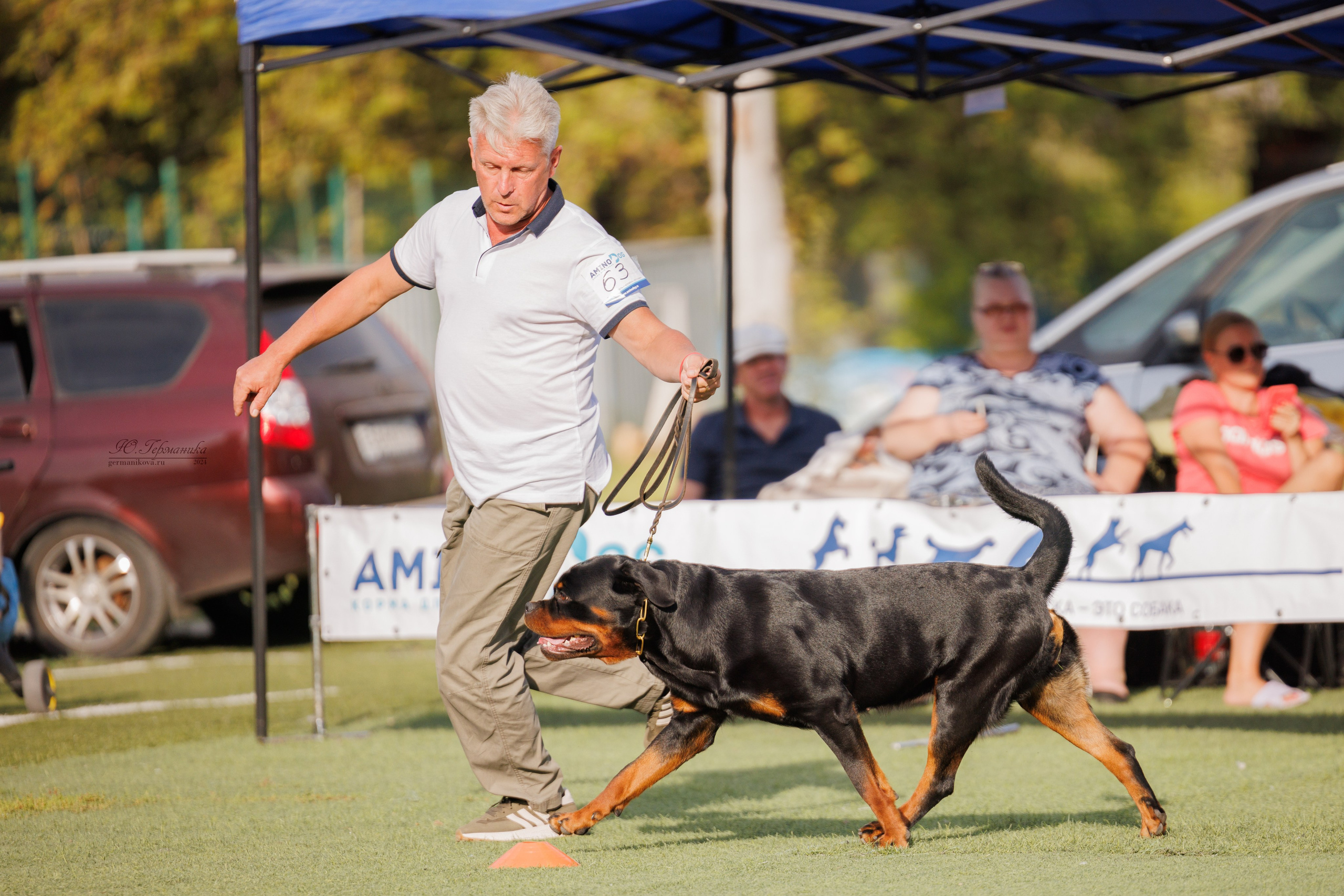 Анапа ротвейлеры 14-15.09.2024. Фотограф-анималист Юлия Германика