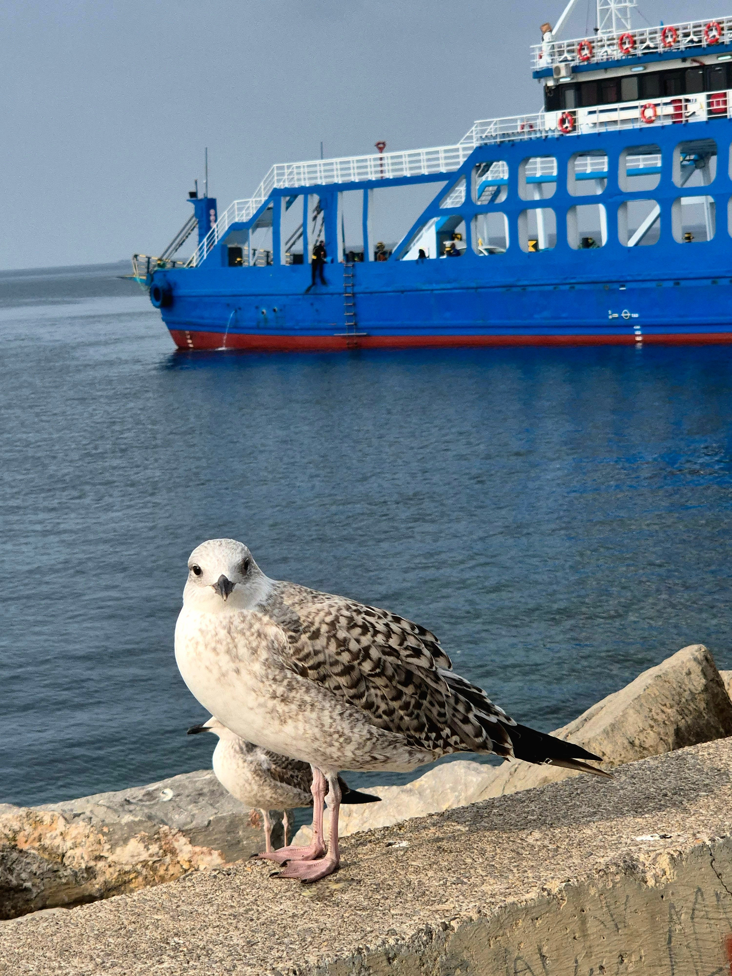 Семки есть? А если найду?