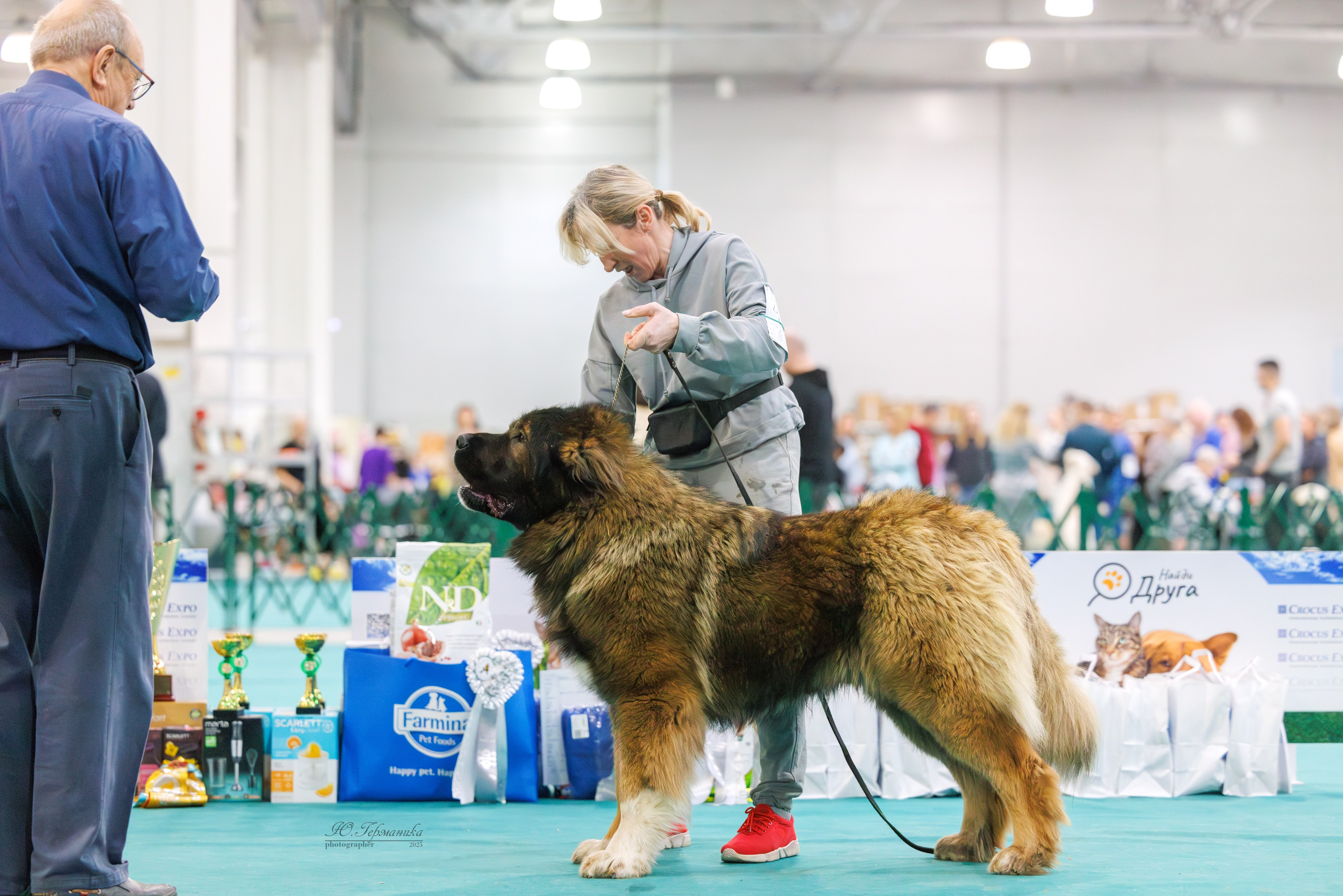 Гран-При 8.02.2025 и Крокус 09.02.2025. Фотограф-анималист Юлия Германика