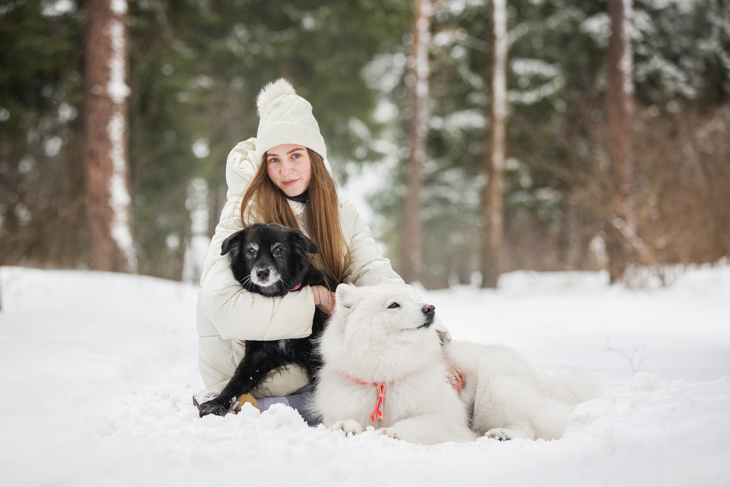 Валя, Варя и Лада. Фотограф анималист в Москве Майорова Евгения