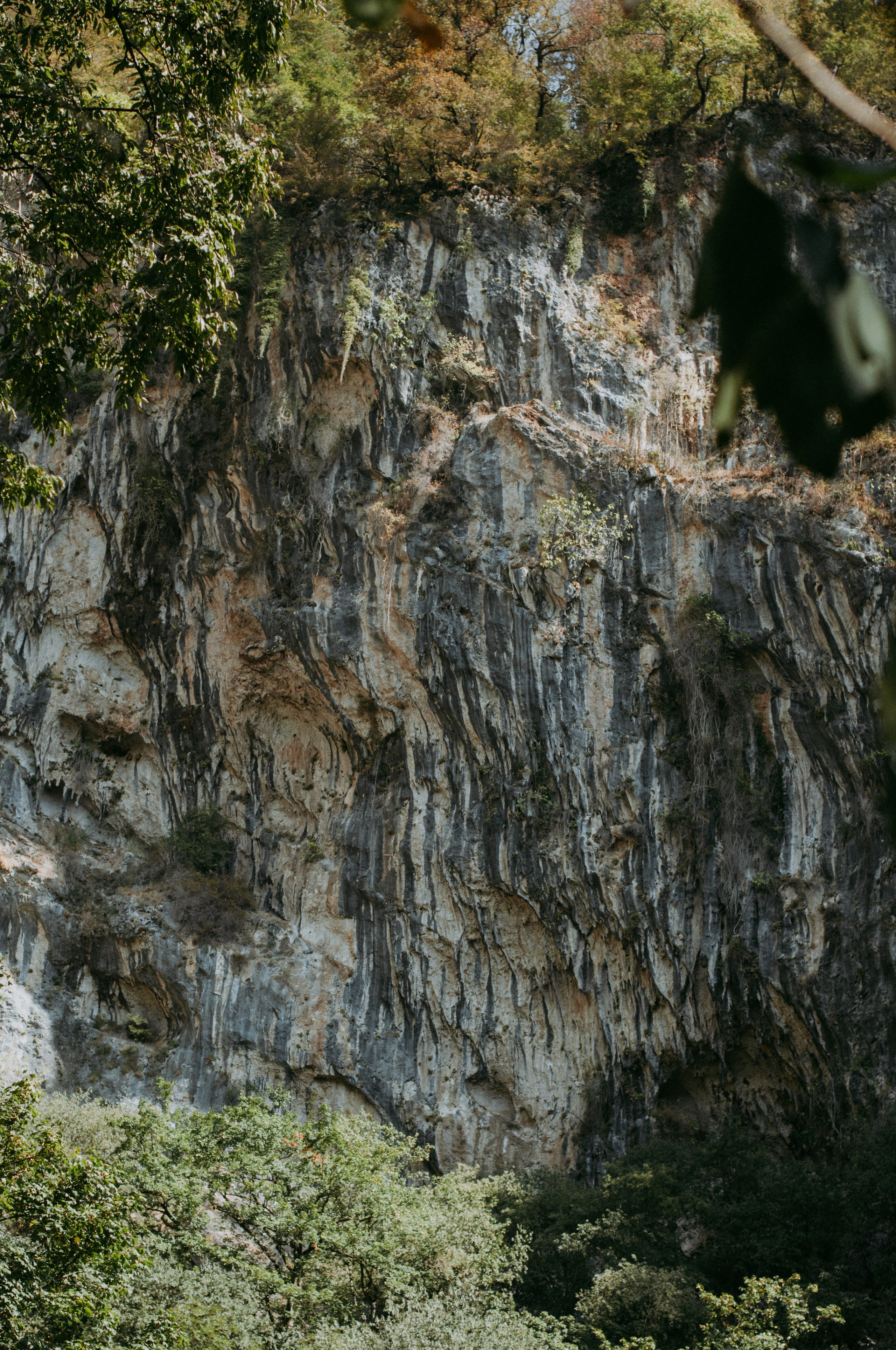 Природное атмосферное