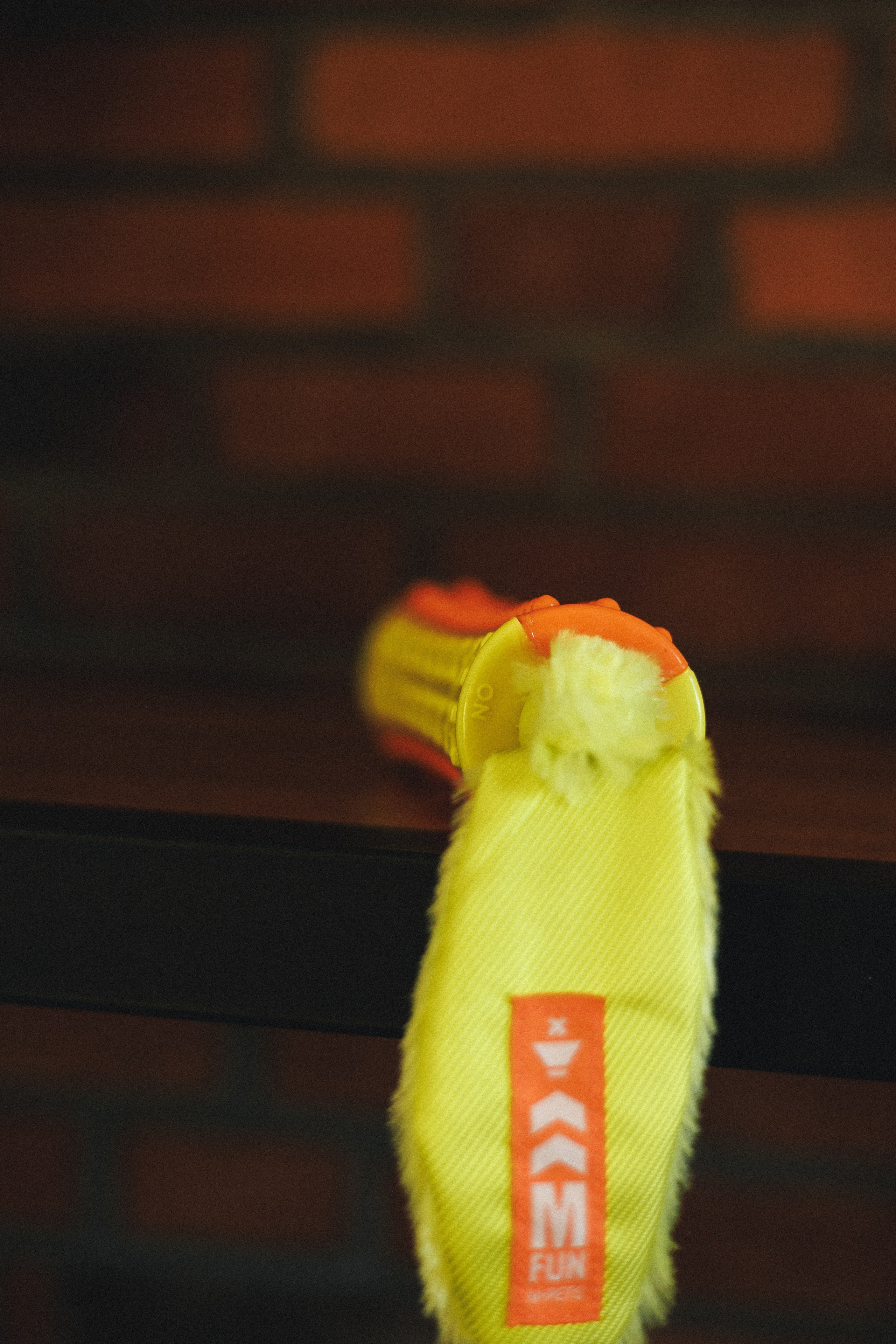 M-Pets. Фотограф анималист Осипчикова Мария