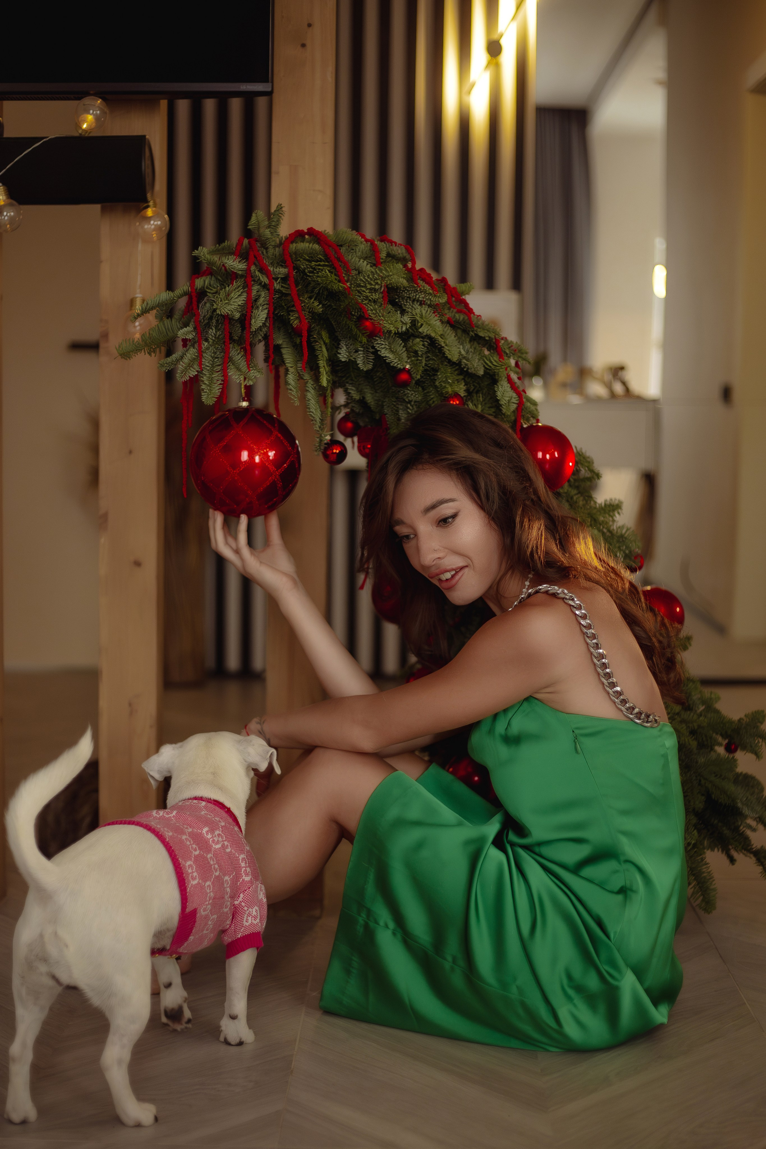 Домашняя. «NEW YEAR». Фотограф Москва / Балашиха