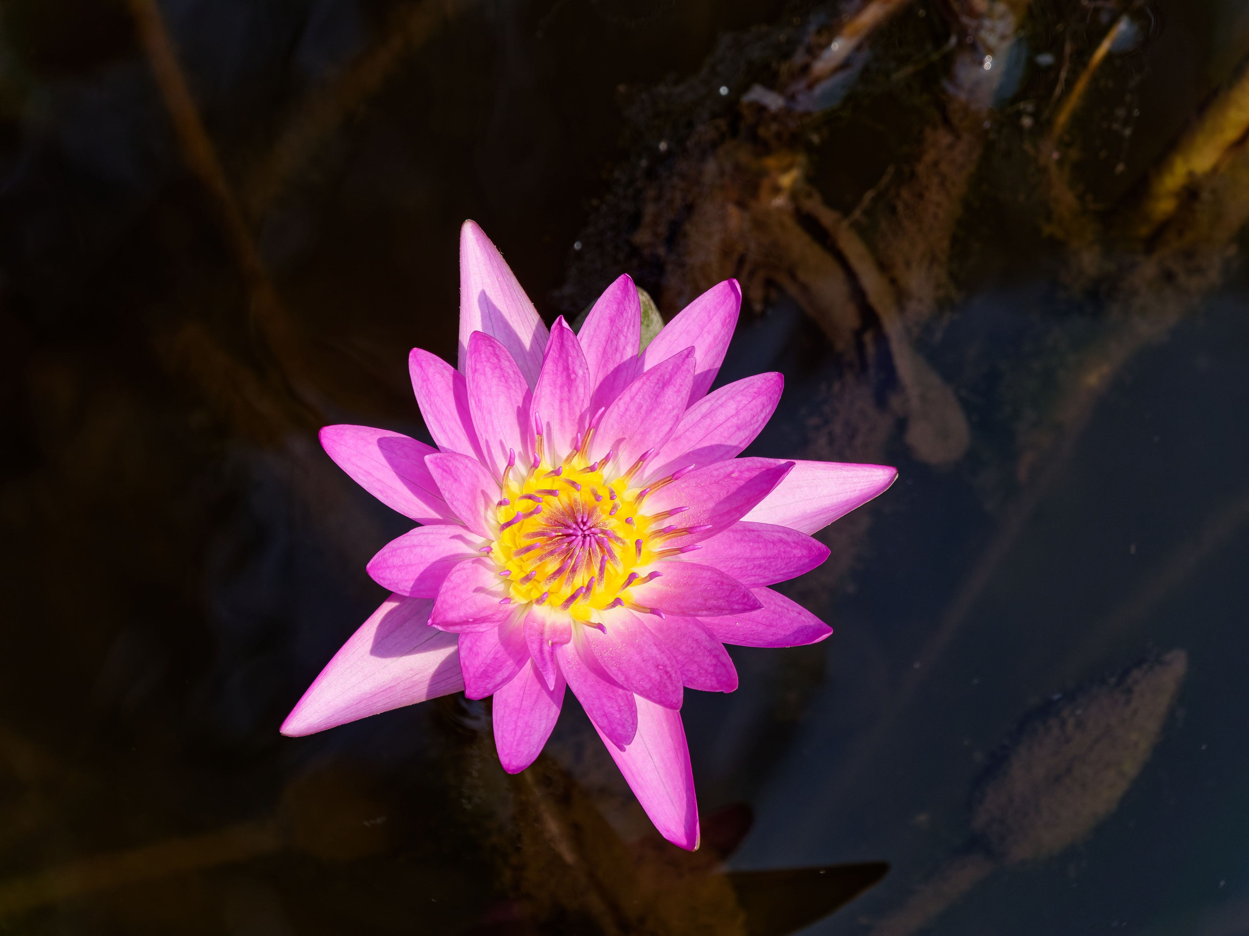 Хайнань 2026, первые впечатления. Фотопрогулки по Миру