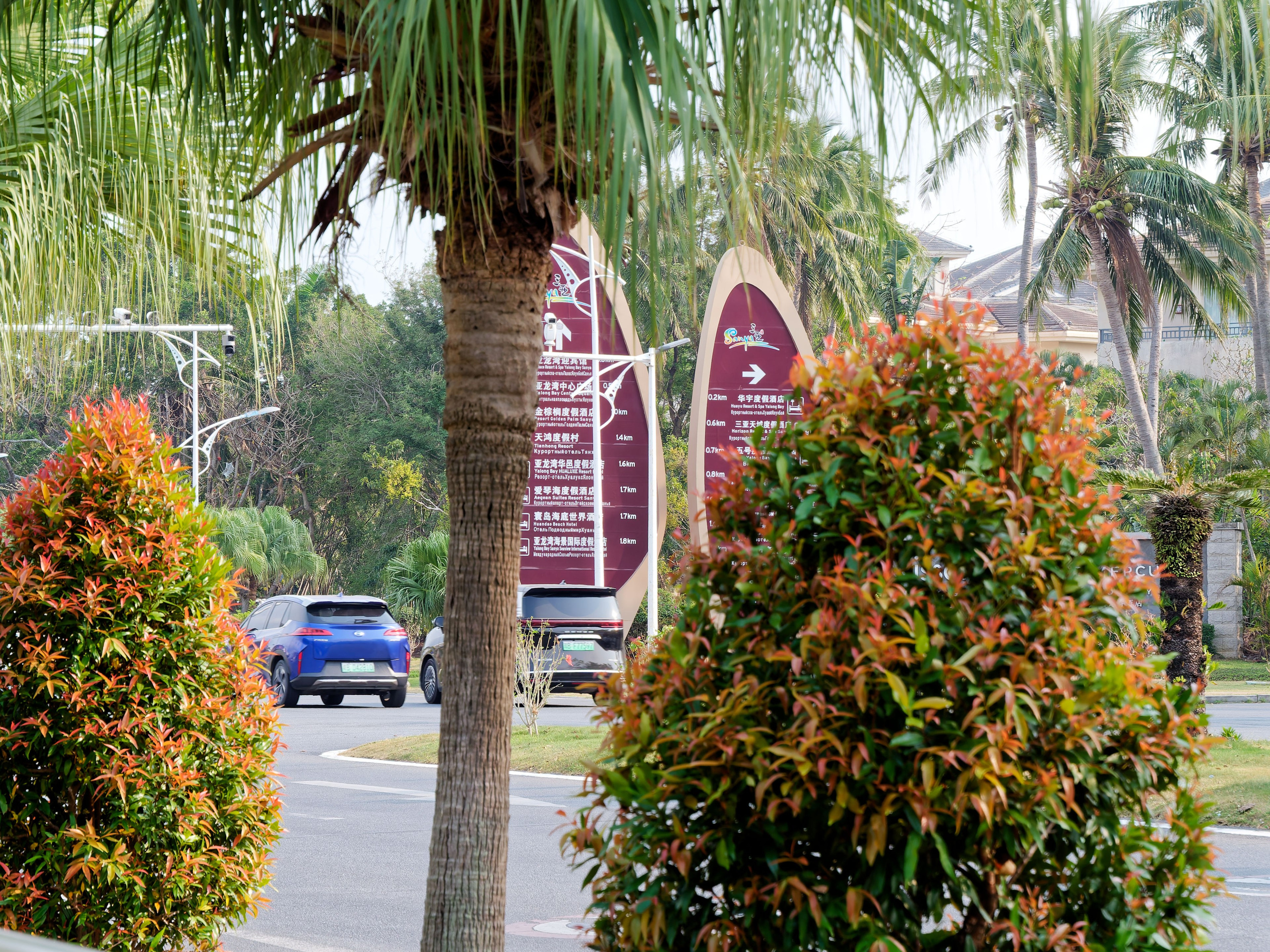 Хайнань 2026, первые впечатления. Фотопрогулки по Миру