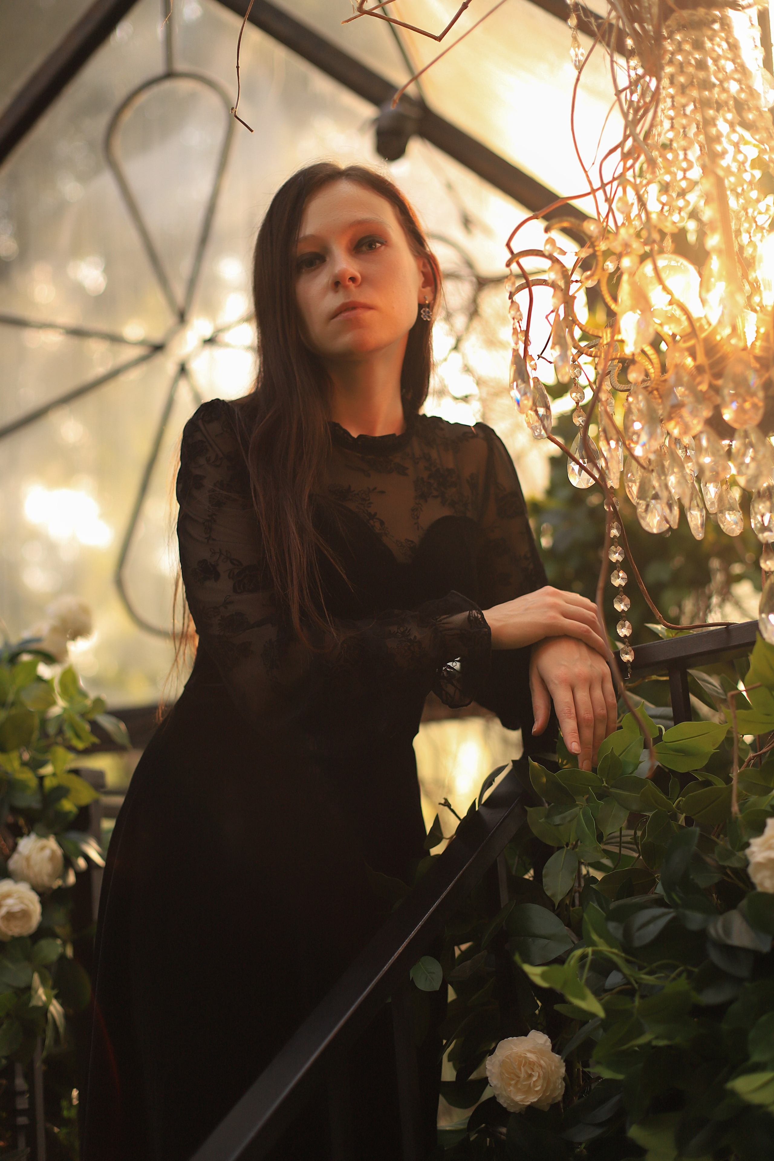 Оранжерея. Фотограф в Москве Елена Дроботя