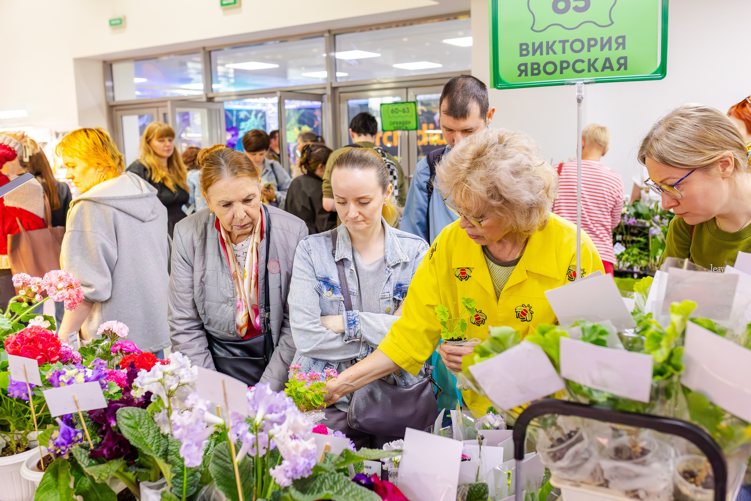 Орхидиум сентябрь 2025. Александра Куликова фотограф, Москва
