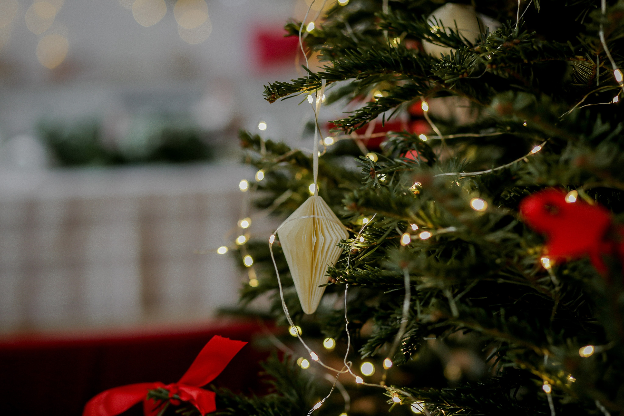 Новый Год. Фото и Видео в Краснодаре Verveyko Studio