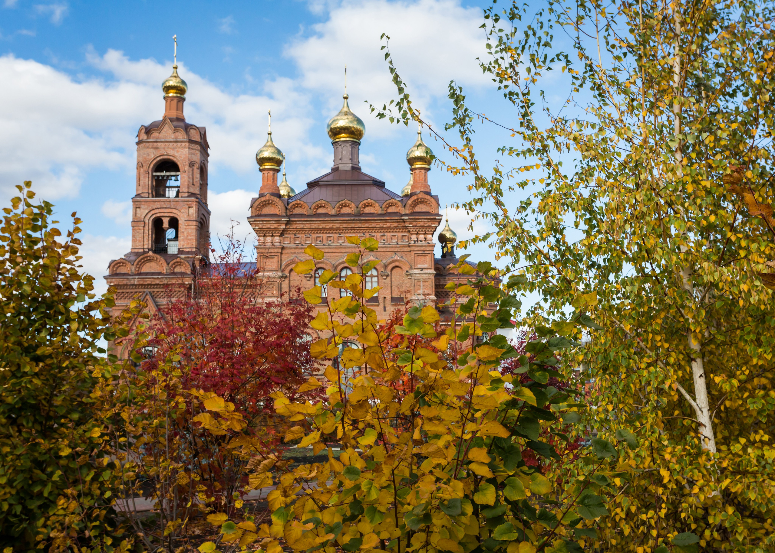 ХВАЛЫНСК: ГОРОД НА ДНЕ МОРЯ. Контакты