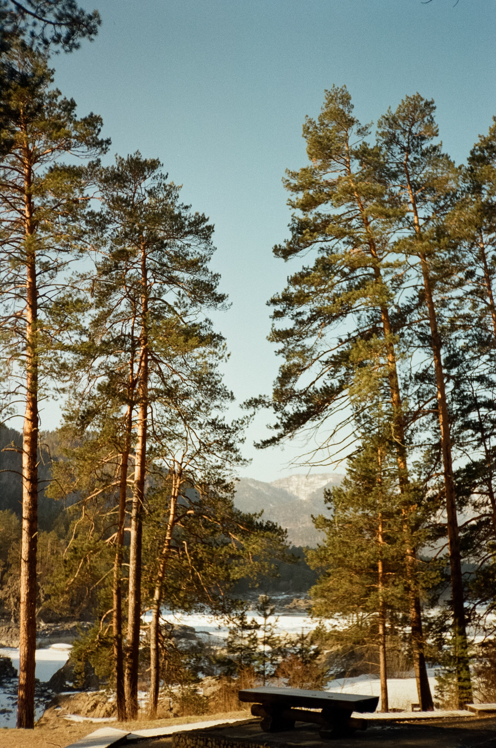 Дорога до Coffee Bus по Чемальскому тракту и Кедровый остров. Фотограф-документалист Мария Осокина