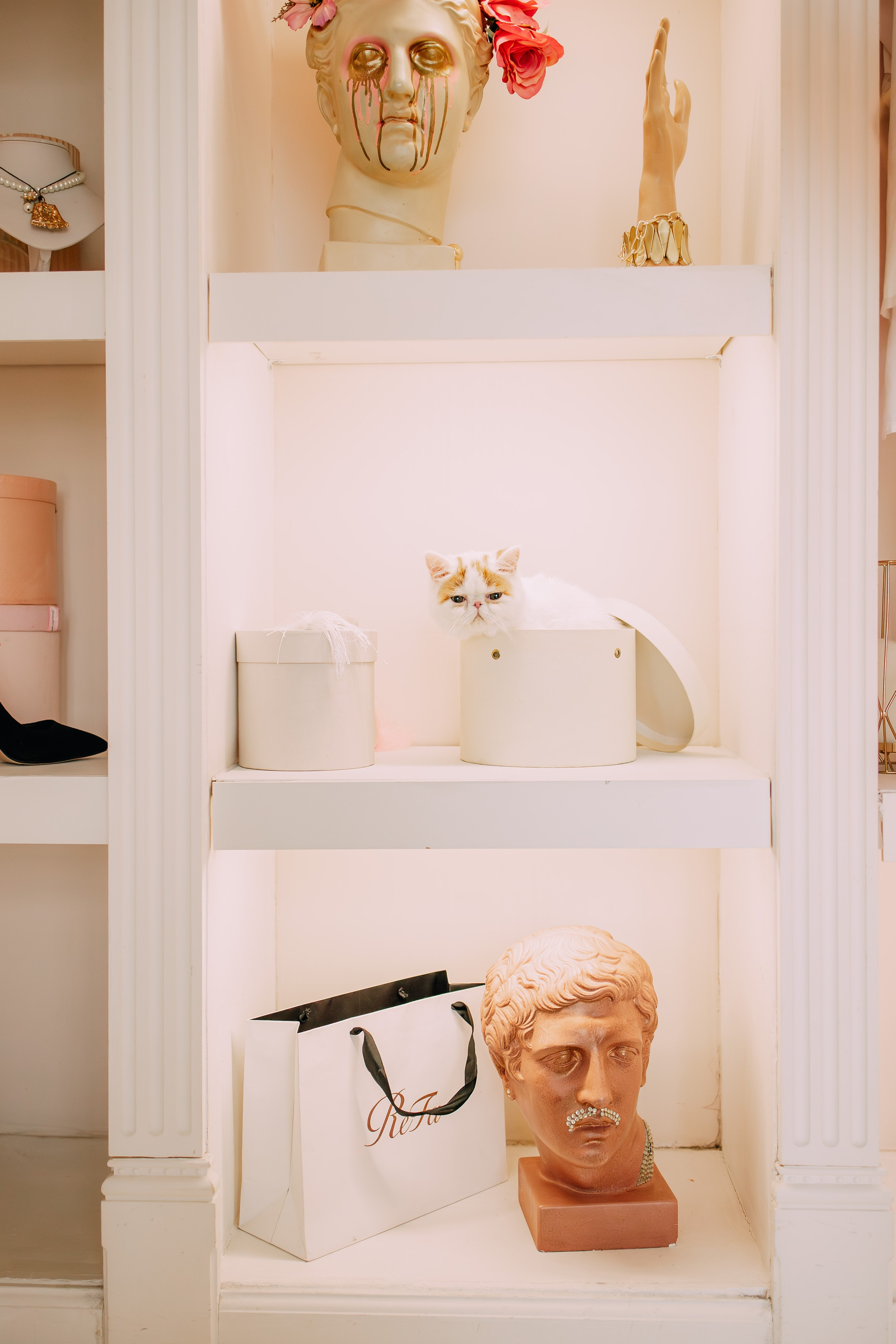 Султан, Мэй Мэй и Шанталь и их семья