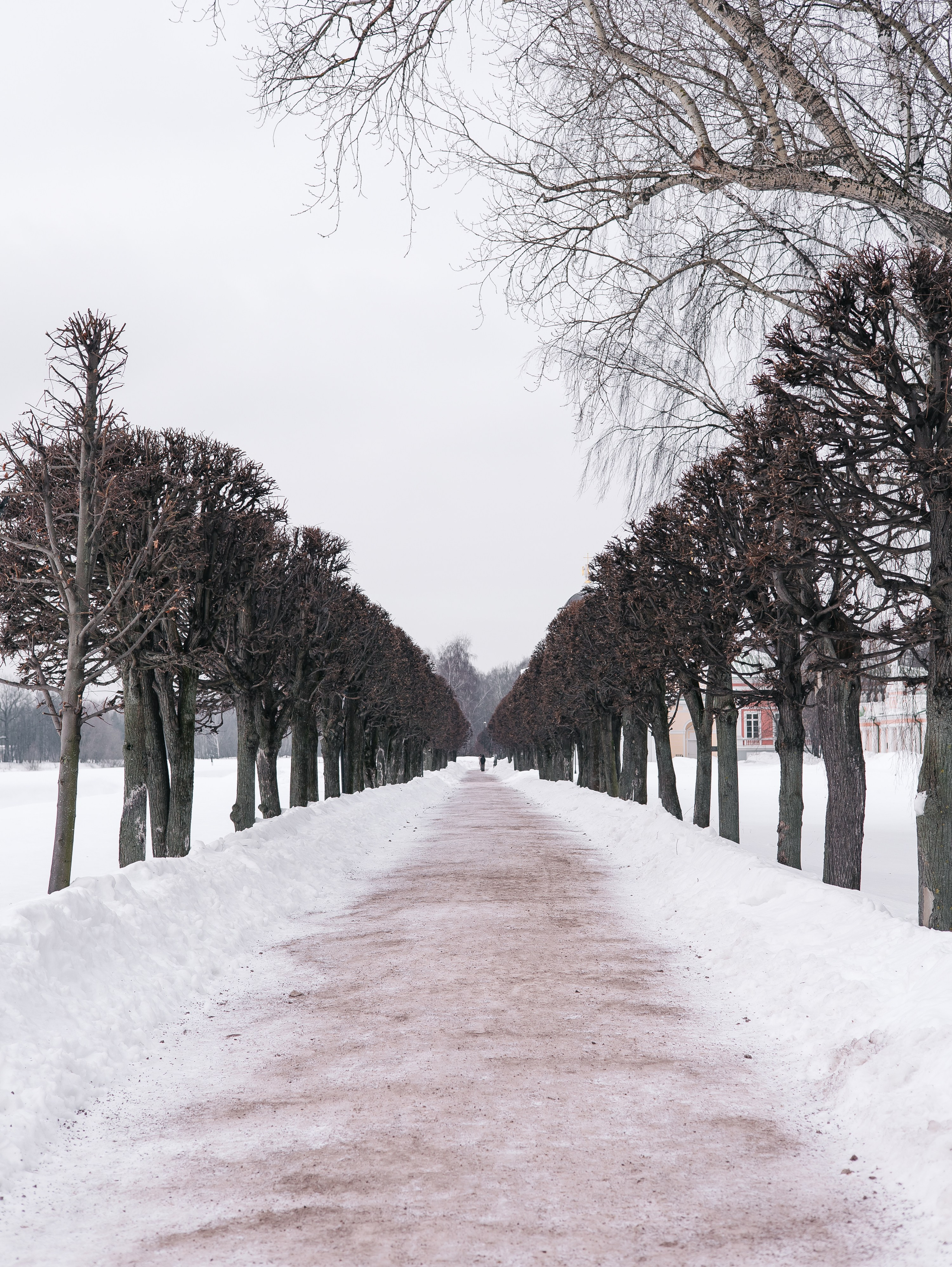Фотоотчет с экскурсии в музей-заповедник «Кусково». Свадебный и репортажный фотограф в Москве