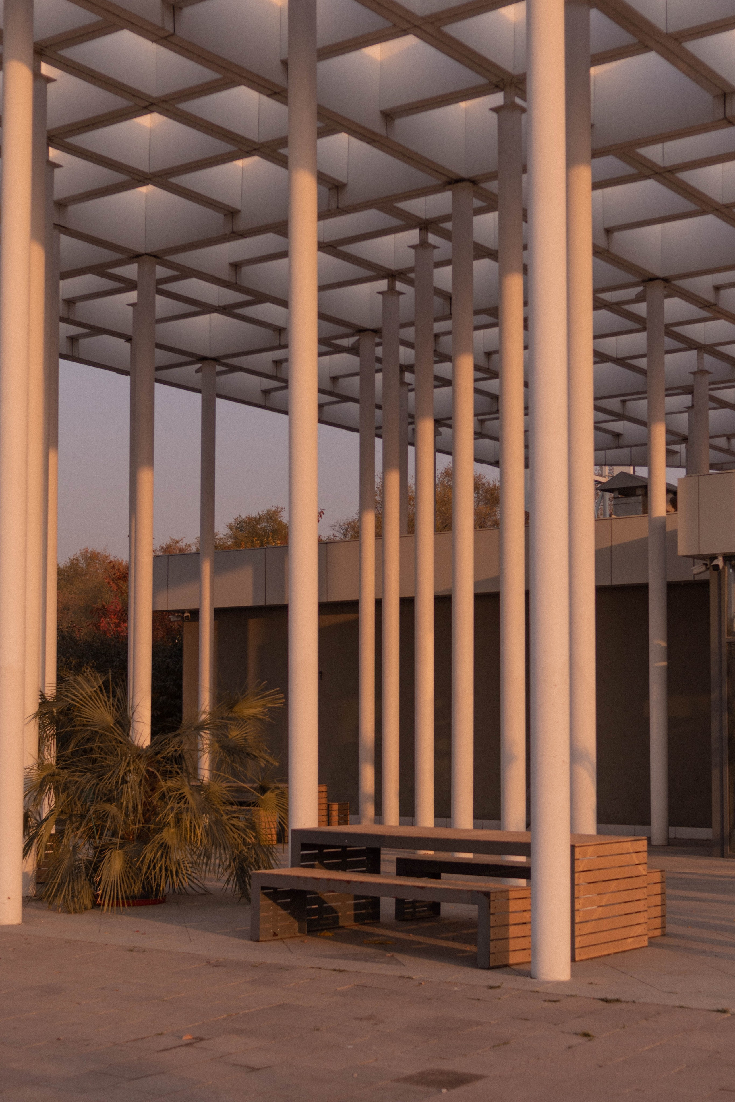 Визуальный дневник. Репортажный фотограф в Алматы Цой Сергей