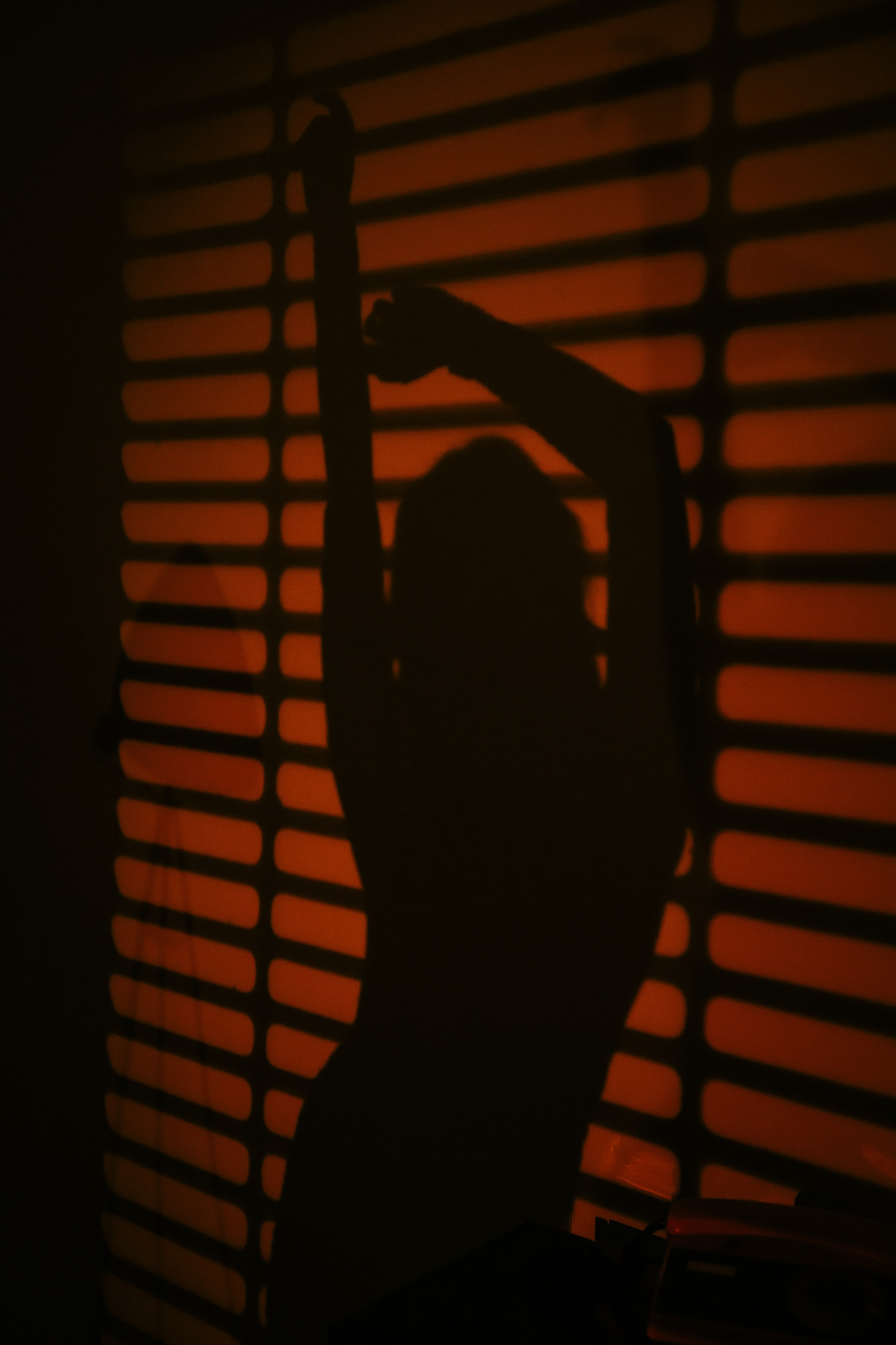 Элеонора. Фотограф в Санкт-Петербурге Ангелина Волкова