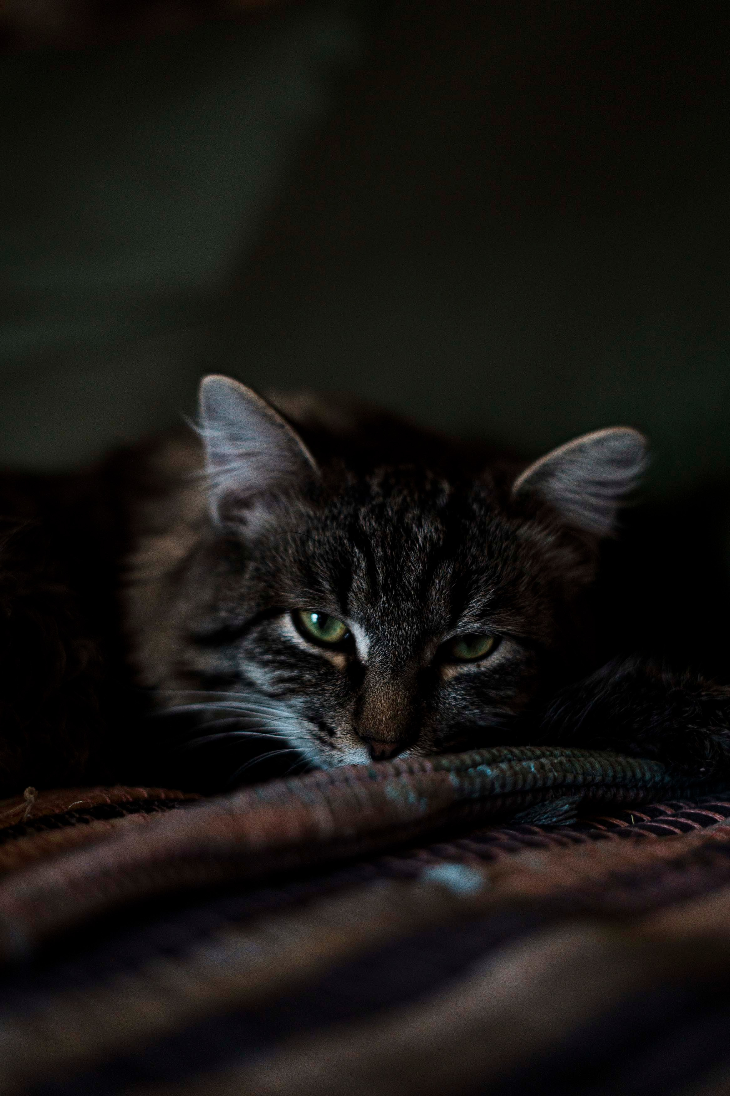 Банный комплекс «Пар-Парок». Фотограф Казань