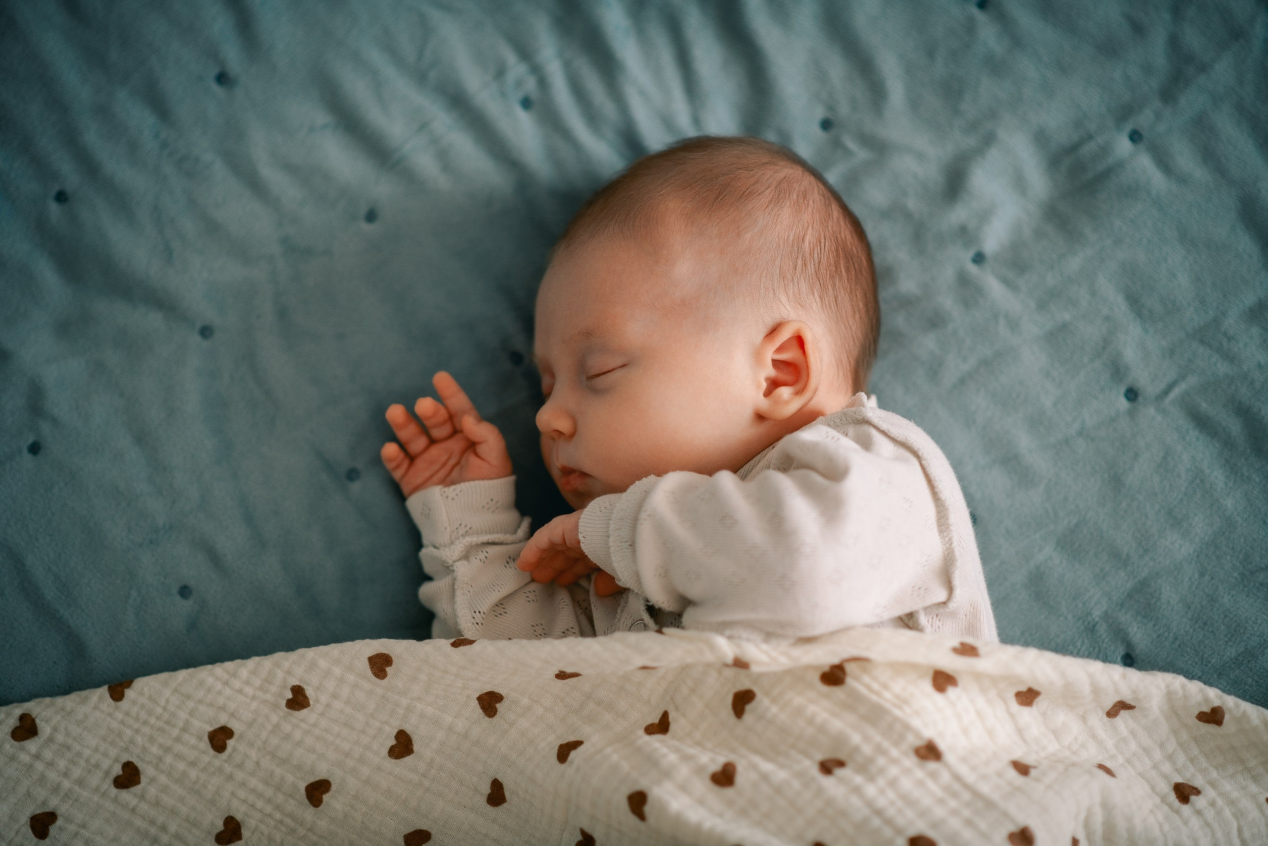 Знакомство с Евой. Фотограф на Камчатке Екатерина Масалович