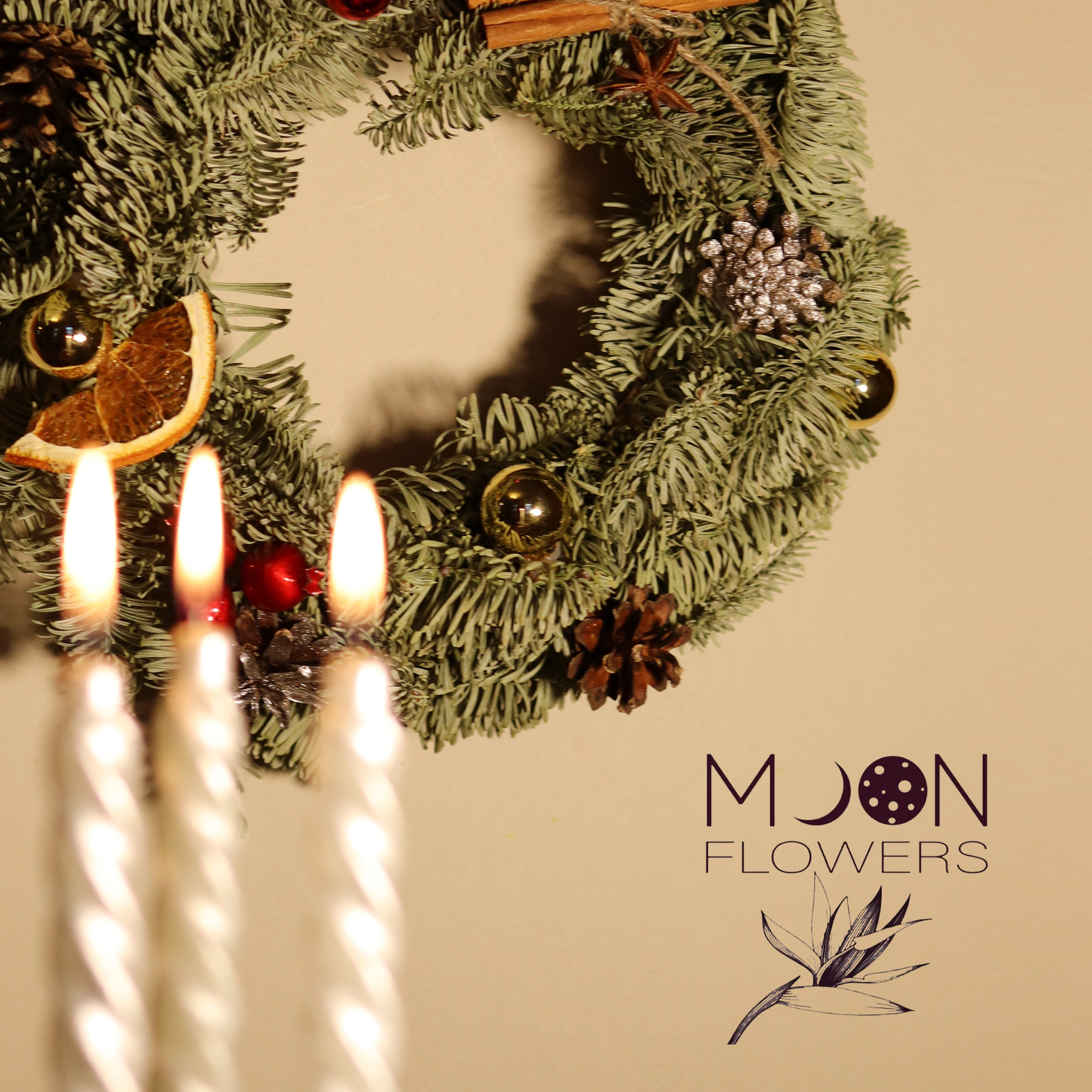 Нобилис. River clover