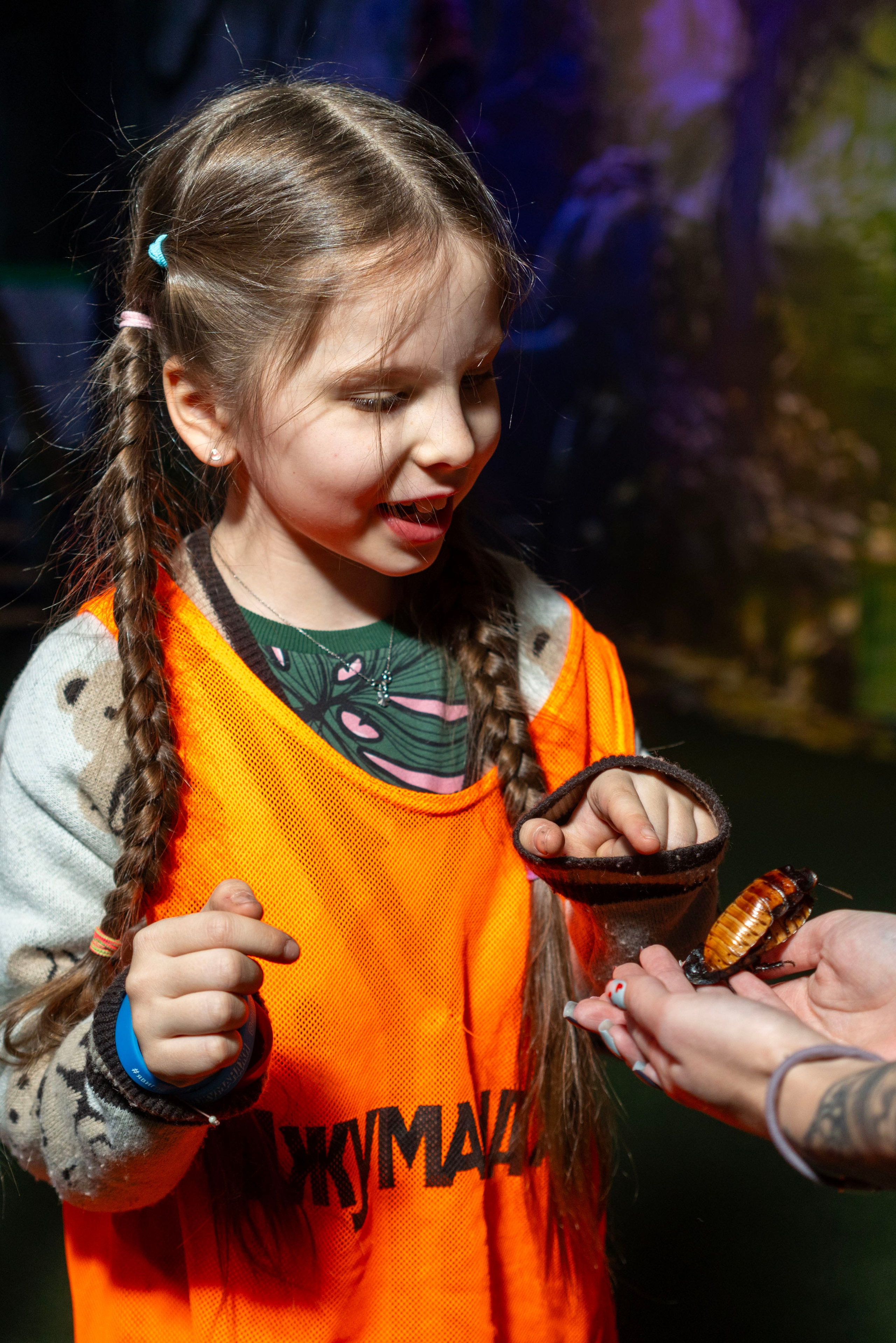 Квесты. Фотограф Юлия Попова