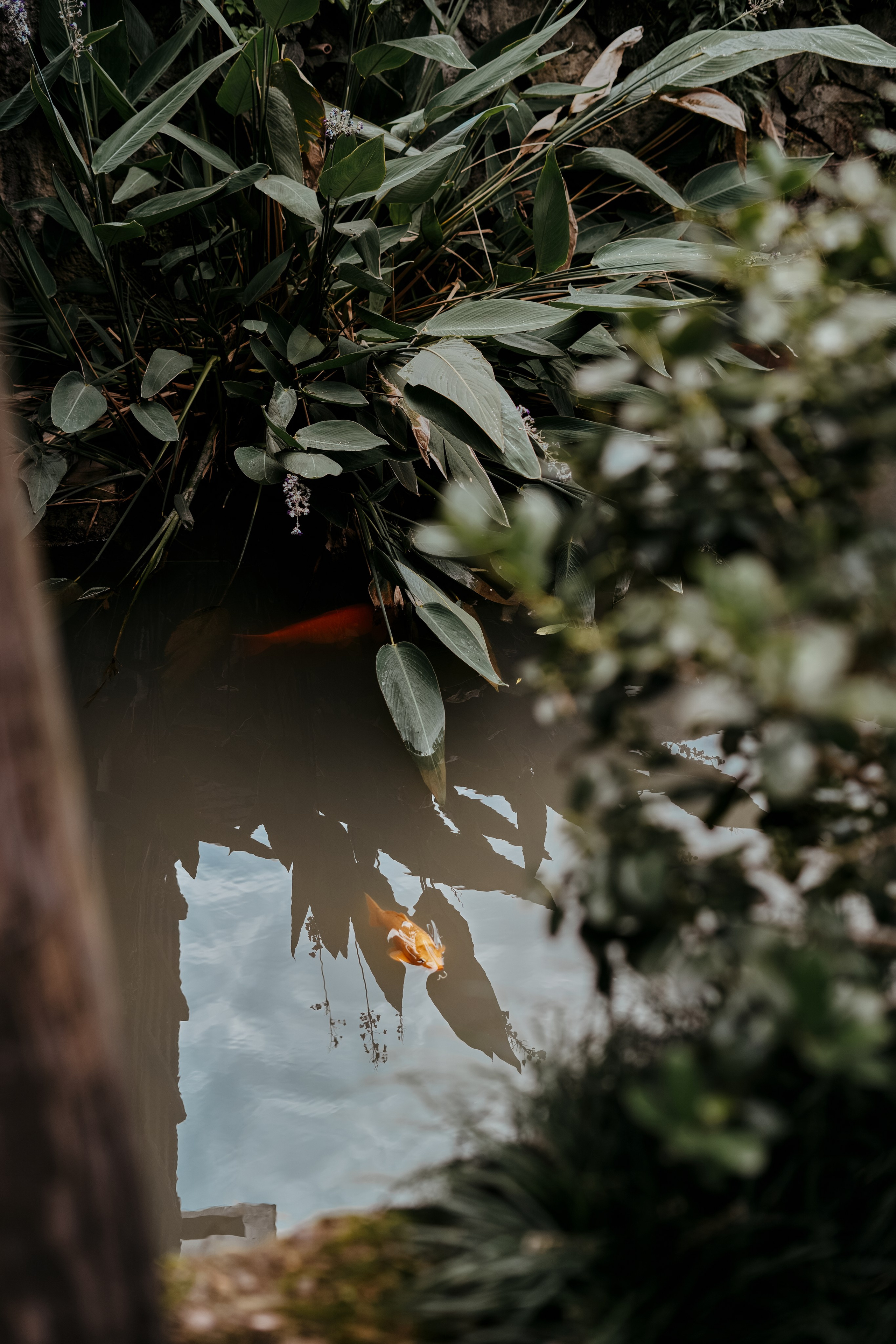 K. and C. Репортажный и свадебный фотограф Роман Яшкильдин