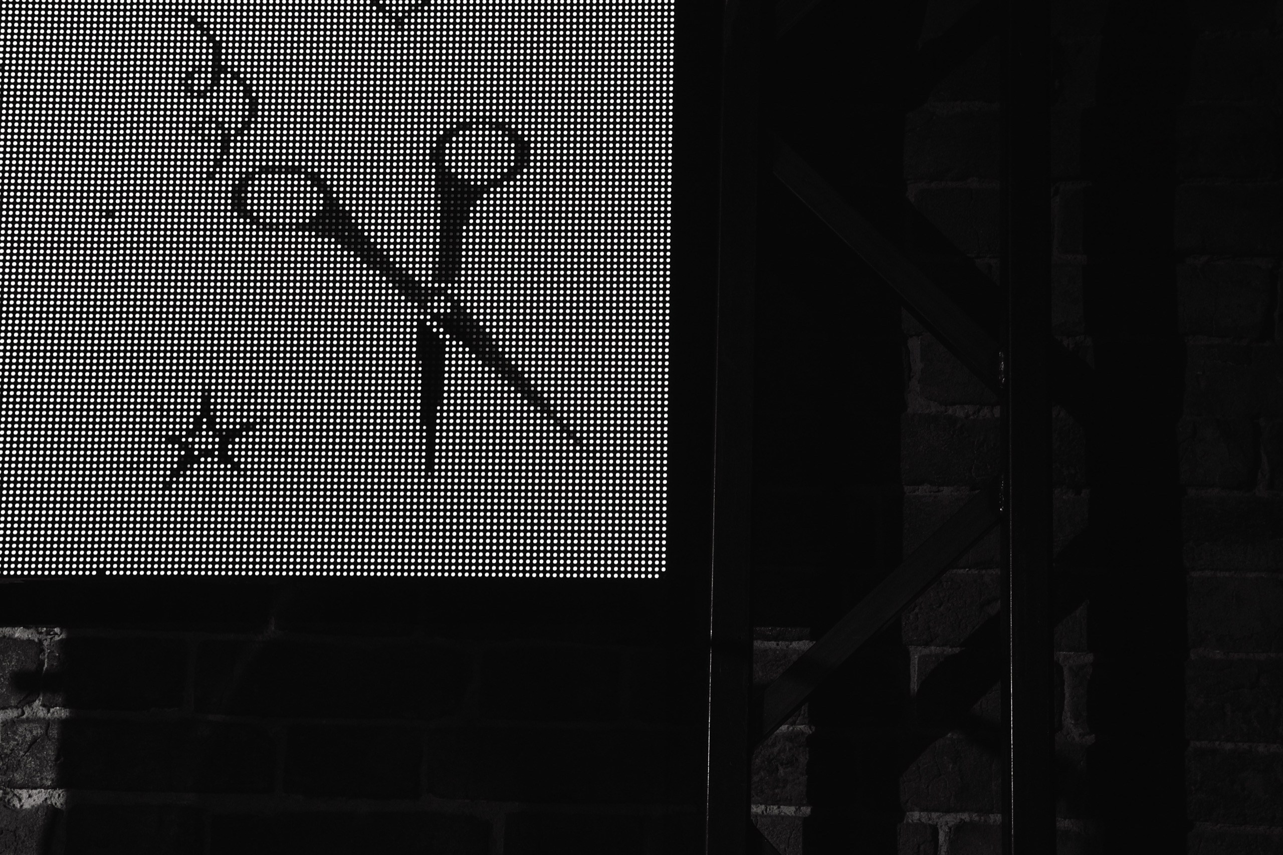 SAVVA BIRTHDAY. Свадебный фотограф в Москве Алексей Логинов