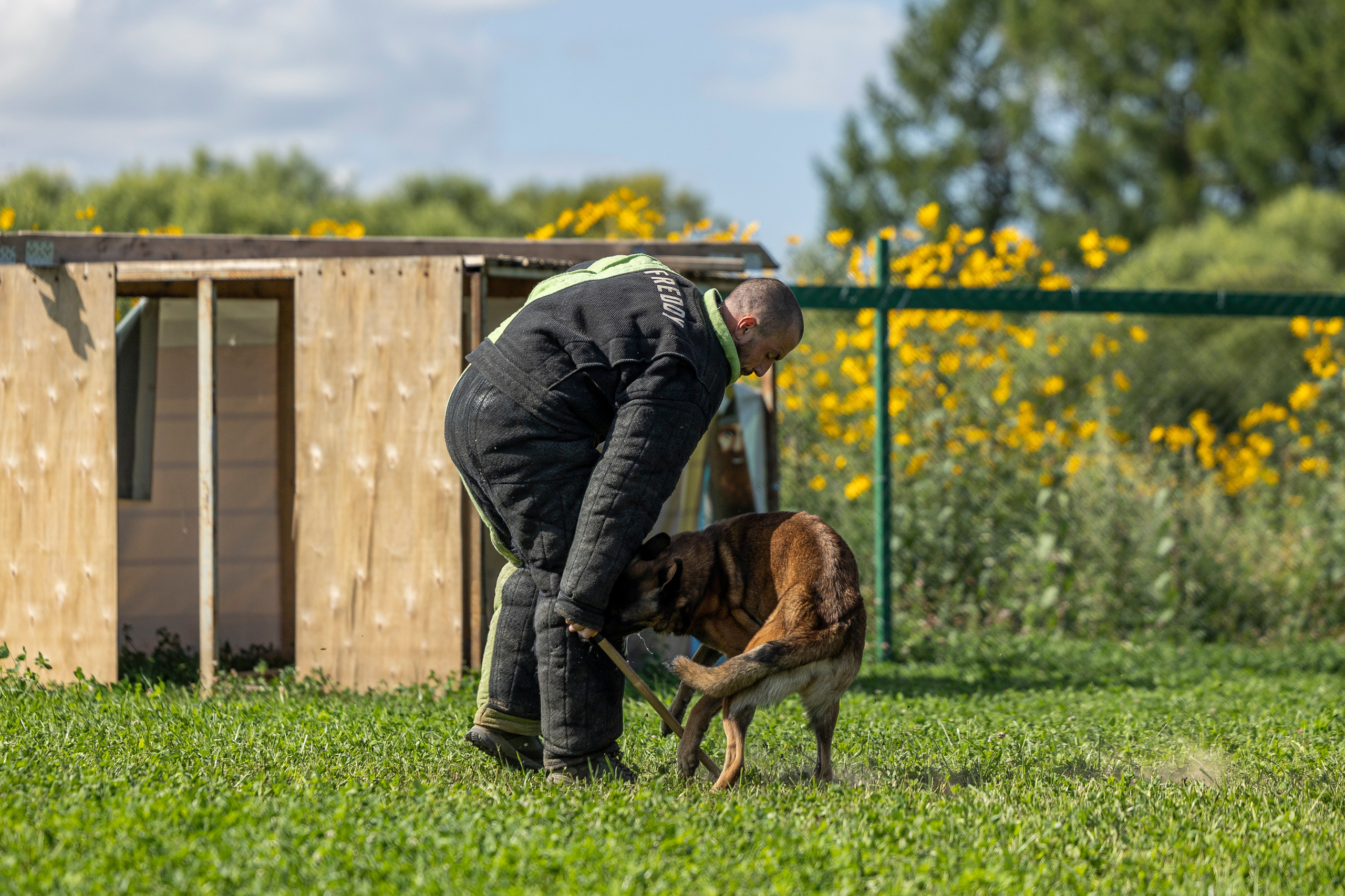 Соревнования по Мондьорингу г. Вологда 10-11.08.2024. Фотограф-анималист Анна Маринич