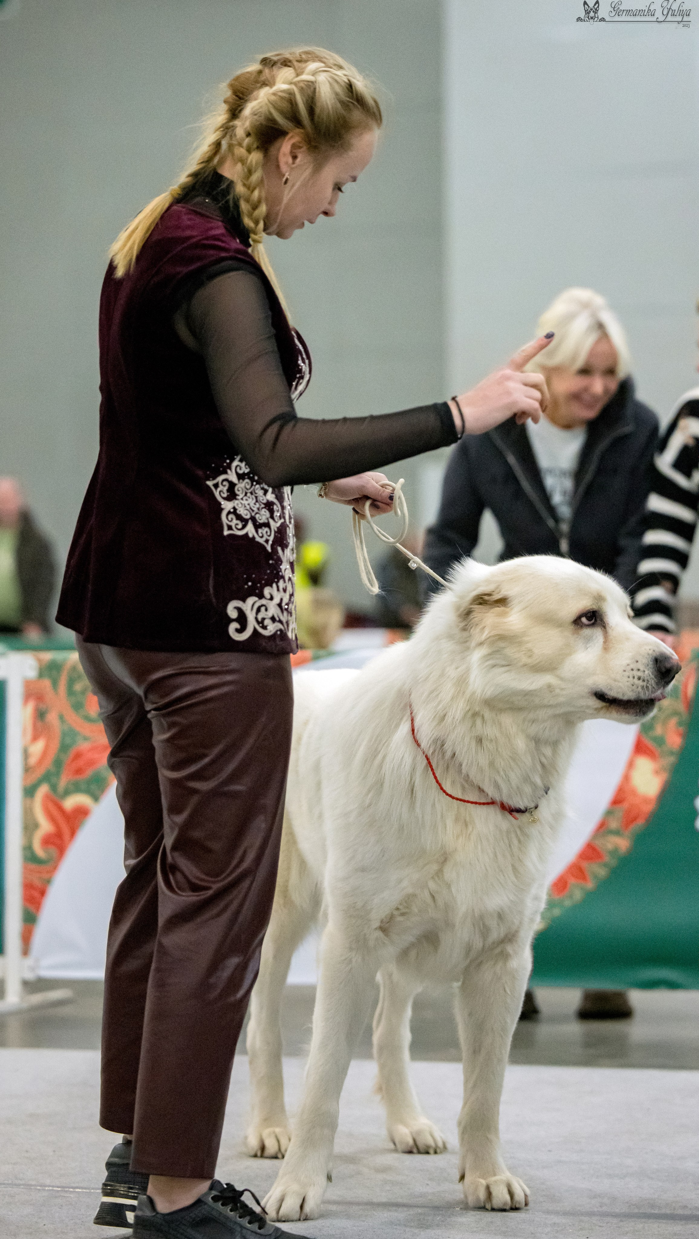 ЕВРАЗИЯ 18-19.11.2023. Фотограф-анималист Юлия Германика