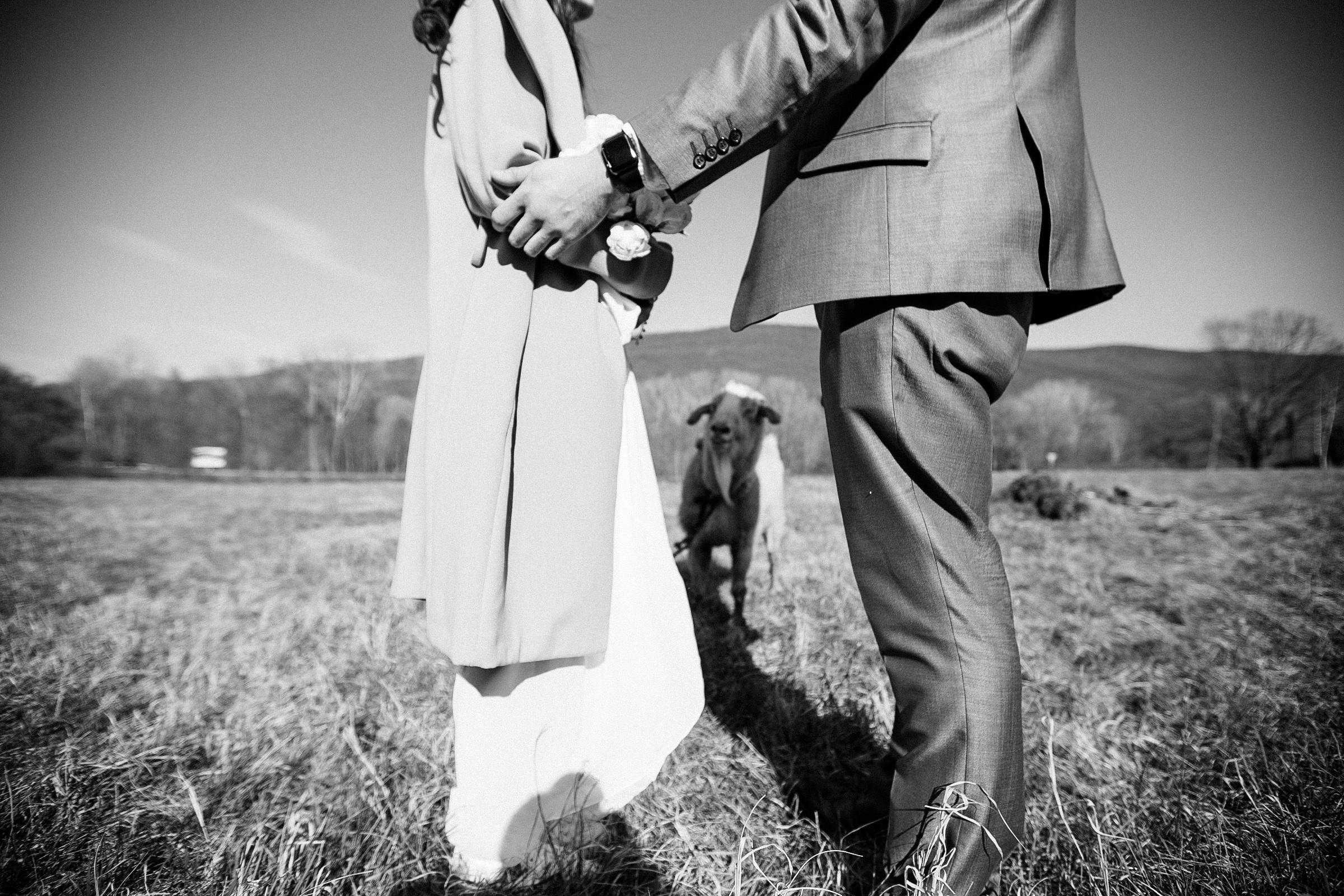 Милена&Влад. Фотограф в Санкт Петербурге и Москве Анастасия Сиволод