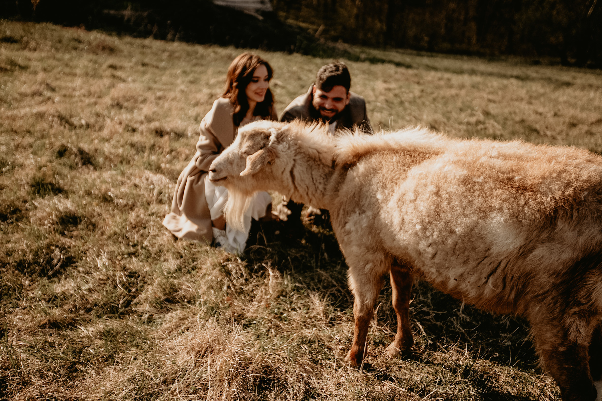 Милена&Влад. Фотограф в Санкт Петербурге и Москве Анастасия Сиволод