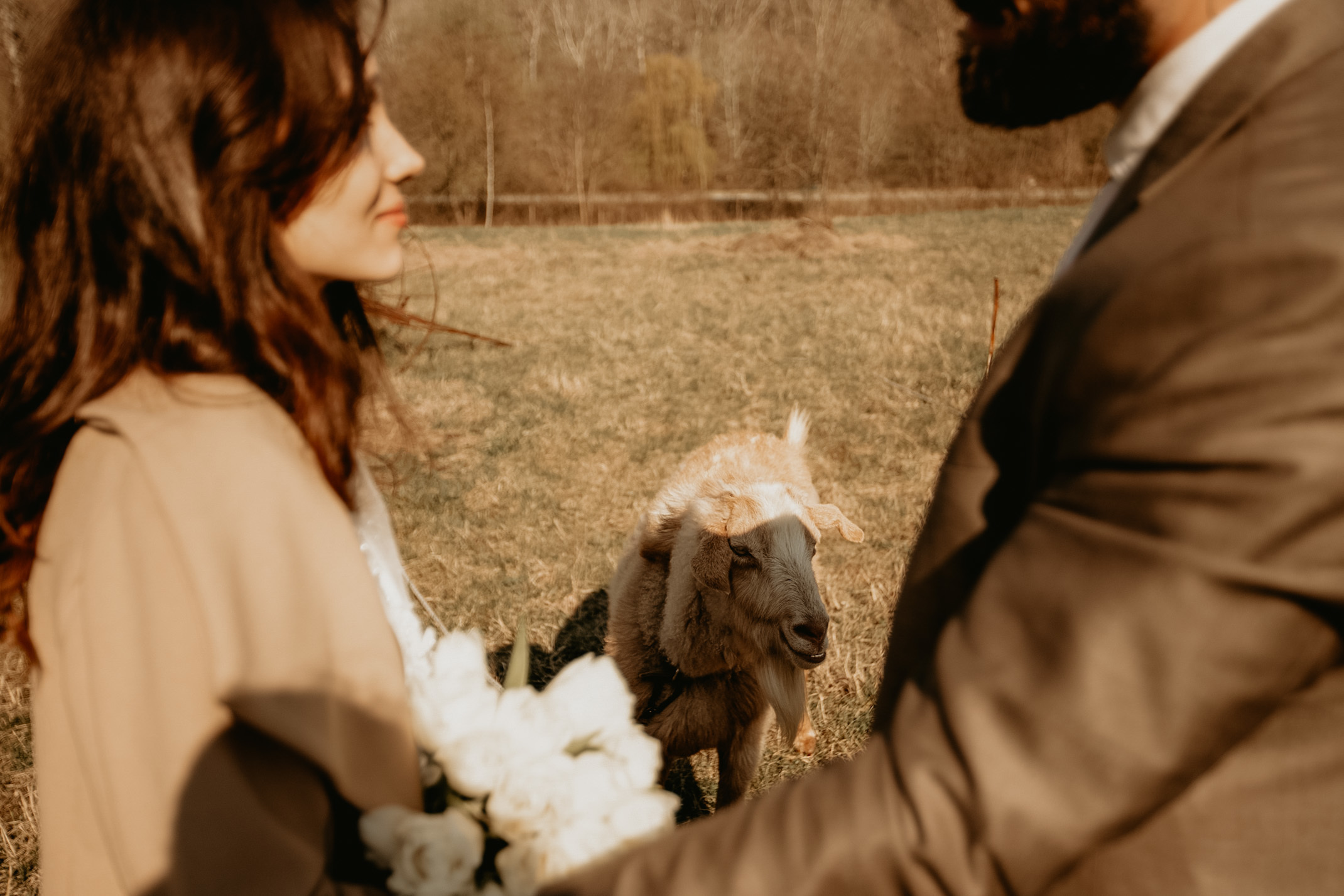 Милена&Влад. Фотограф в Санкт Петербурге и Москве Анастасия Сиволод