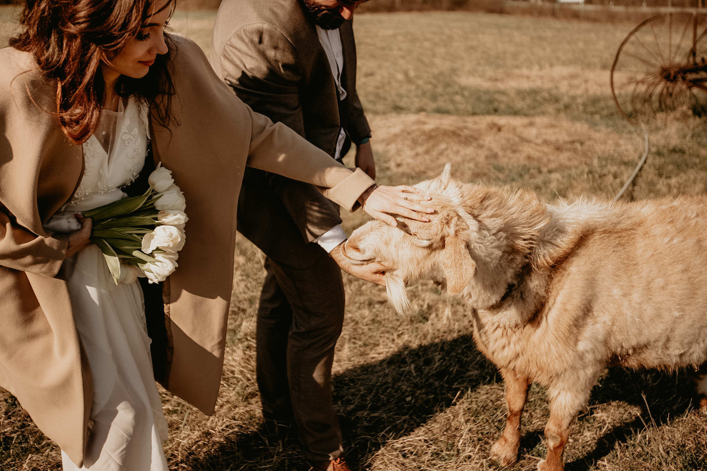 Милена&Влад. Фотограф в Санкт Петербурге и Москве Анастасия Сиволод