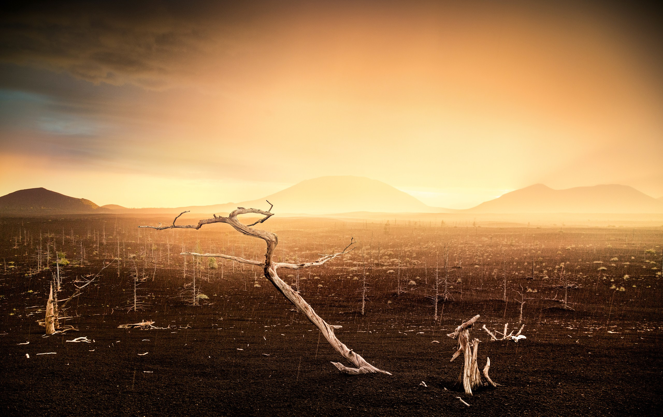 Камчатка. Фотограф Владимир Медведев