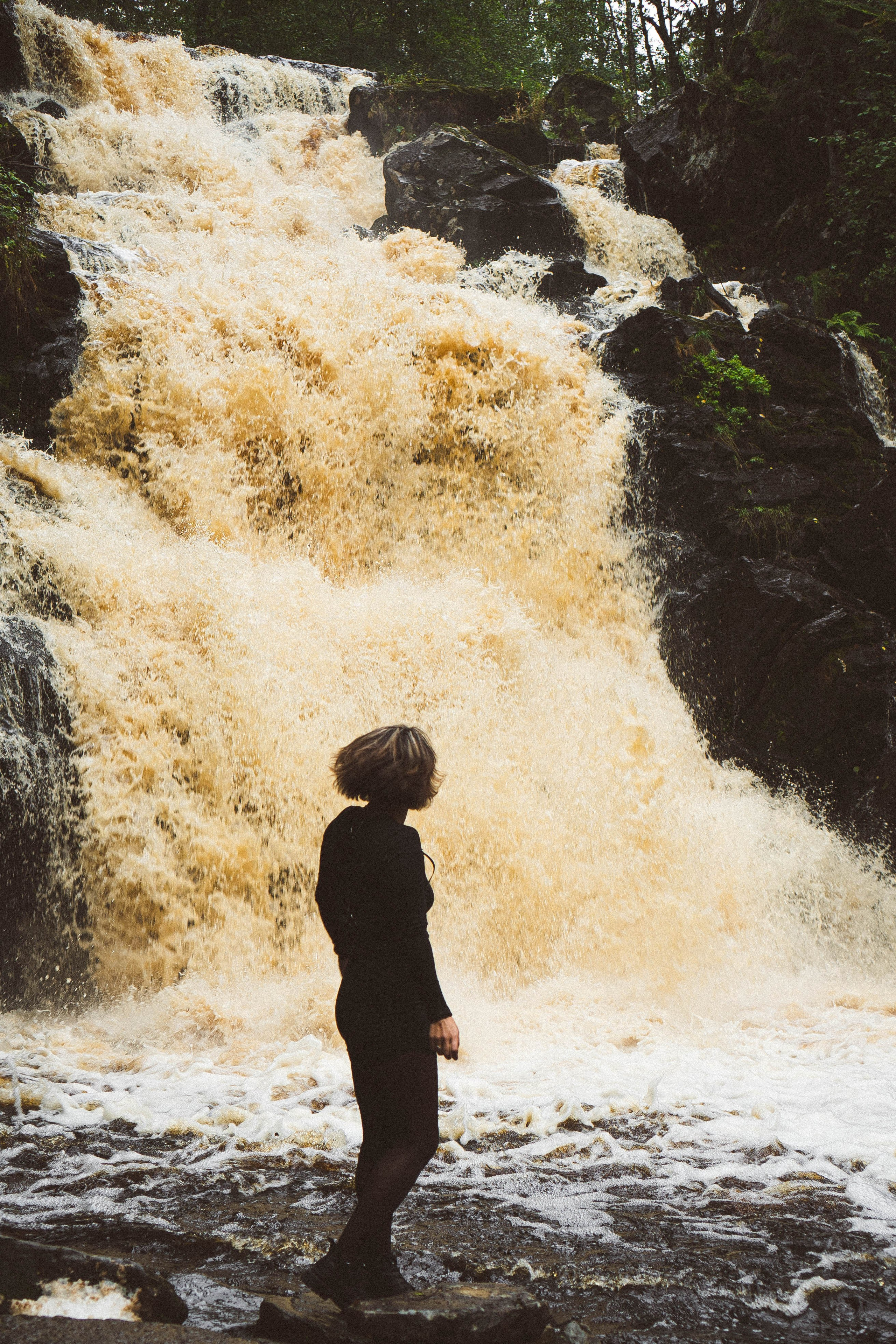 Прогулка на природе. Профессиональный фотограф, Санкт-Петербург — Виктория Богомолова