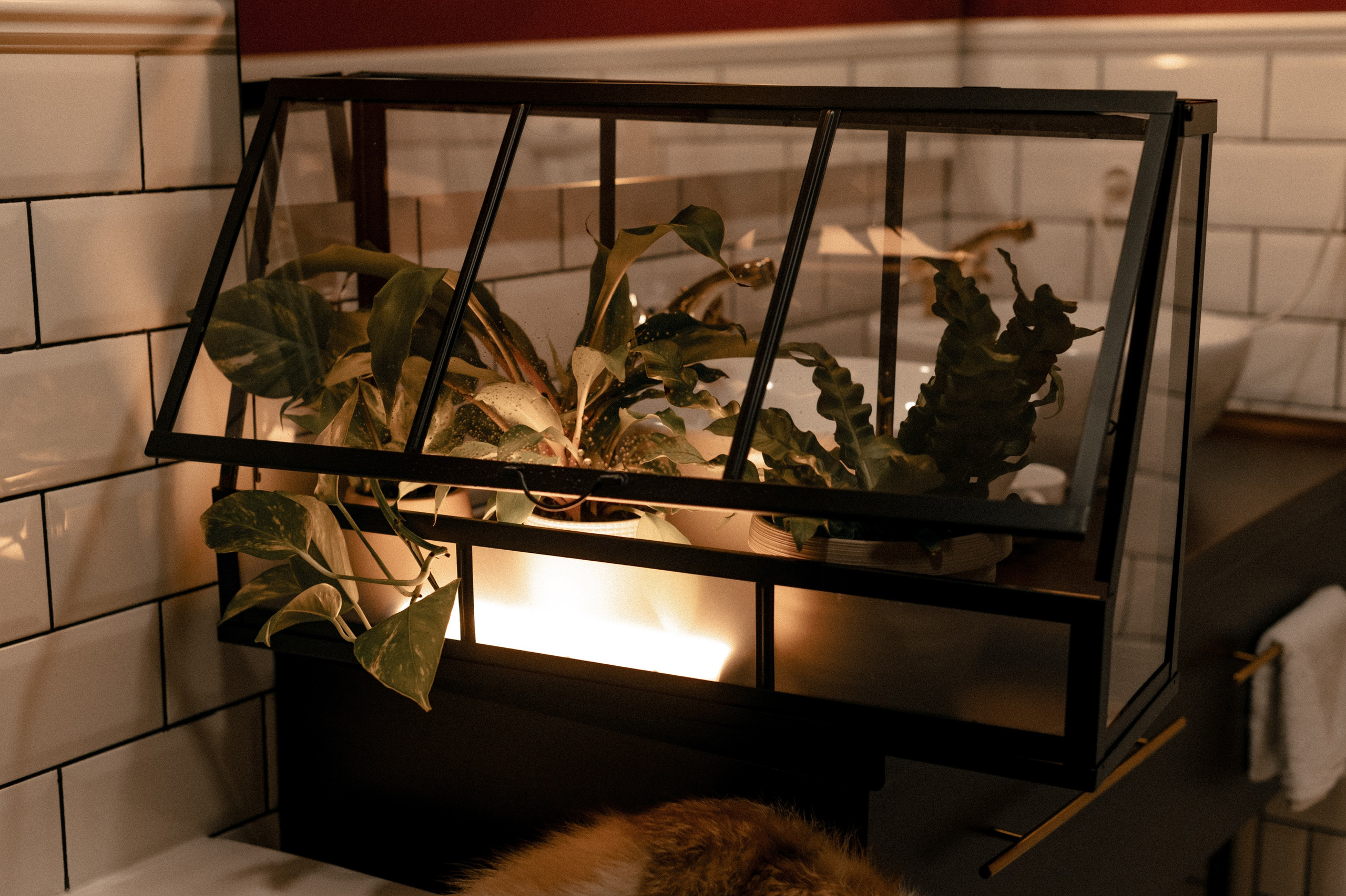 Отель. Цветы. В душе/ванна. Фотограф Котова Валентина