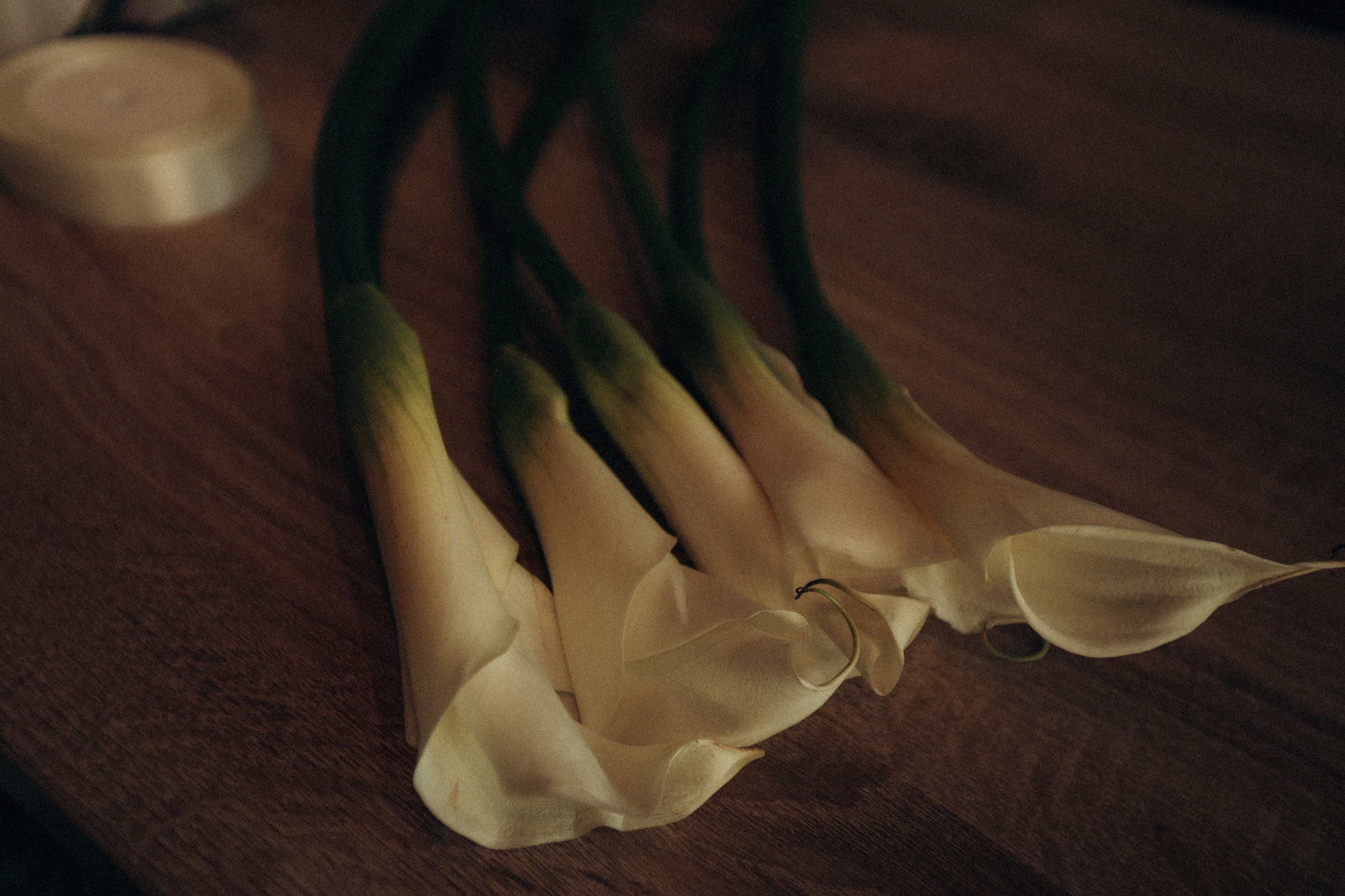 Юрий & Юлия. Алексеева Татьяна свадебный фотограф Краснодар, Краснодарский край