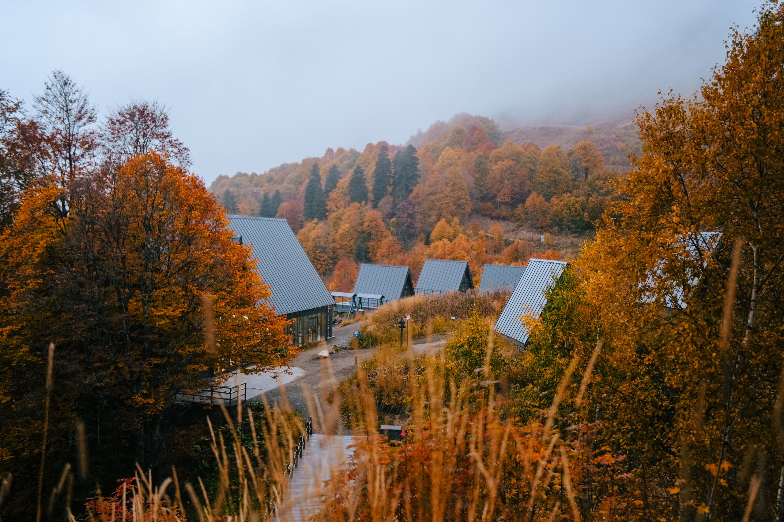 Роза Пик, тропа Турья ✽ Октябрь. Репортажный фотограф | Роза Хутор Красная Поляна Сочи Сириус