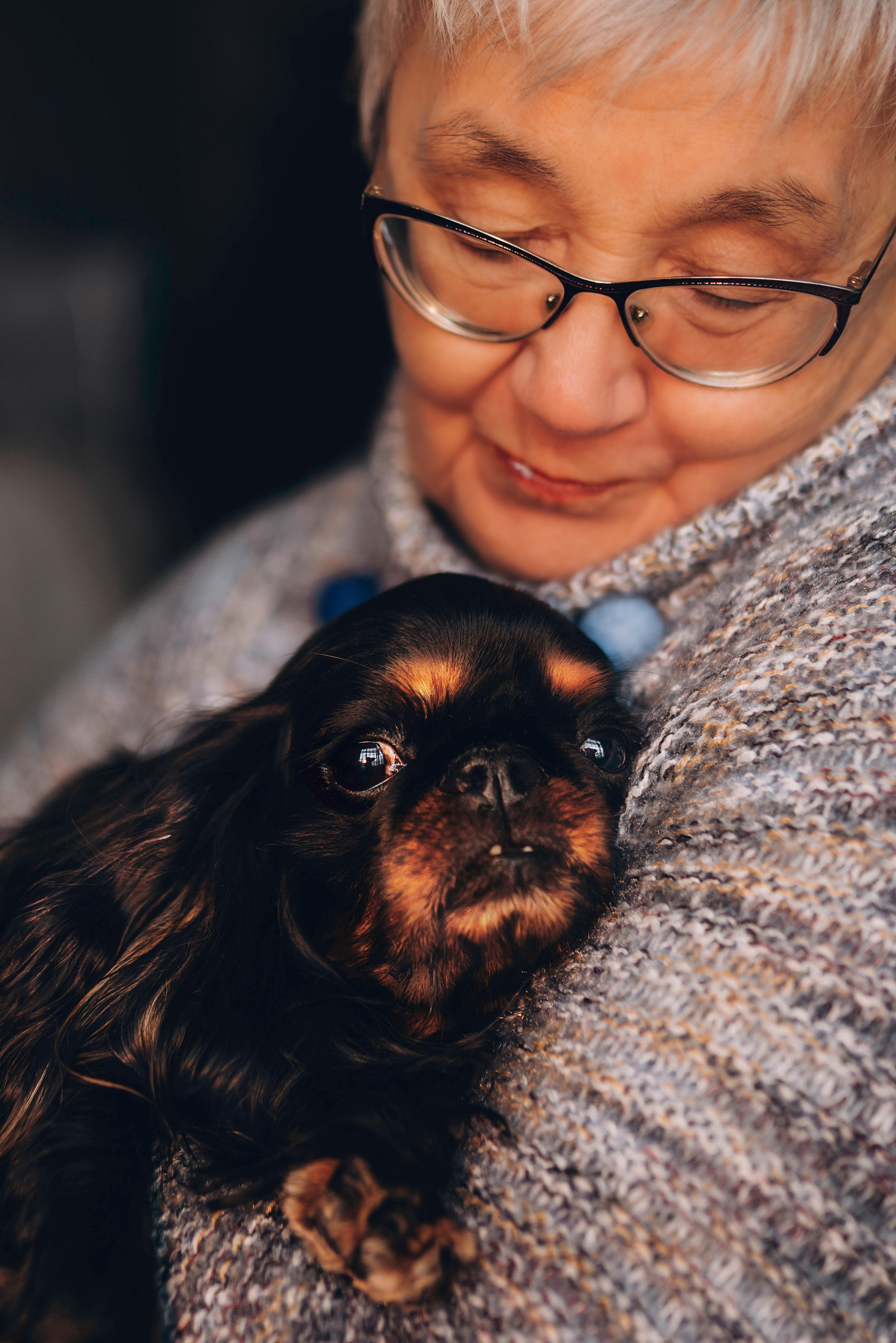 Ариша и её семья. Фотограф анималист в Спб недорого Олеся Майорова