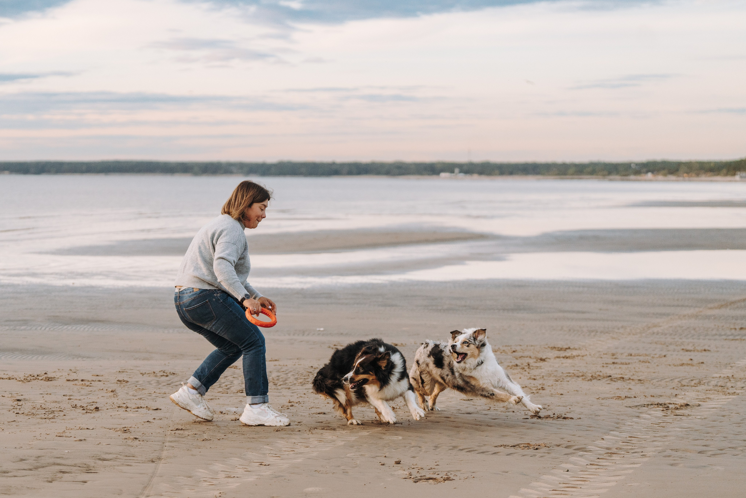 Фотограф анималист в Спб. Фотограф анималист в Спб недорого Олеся Майорова