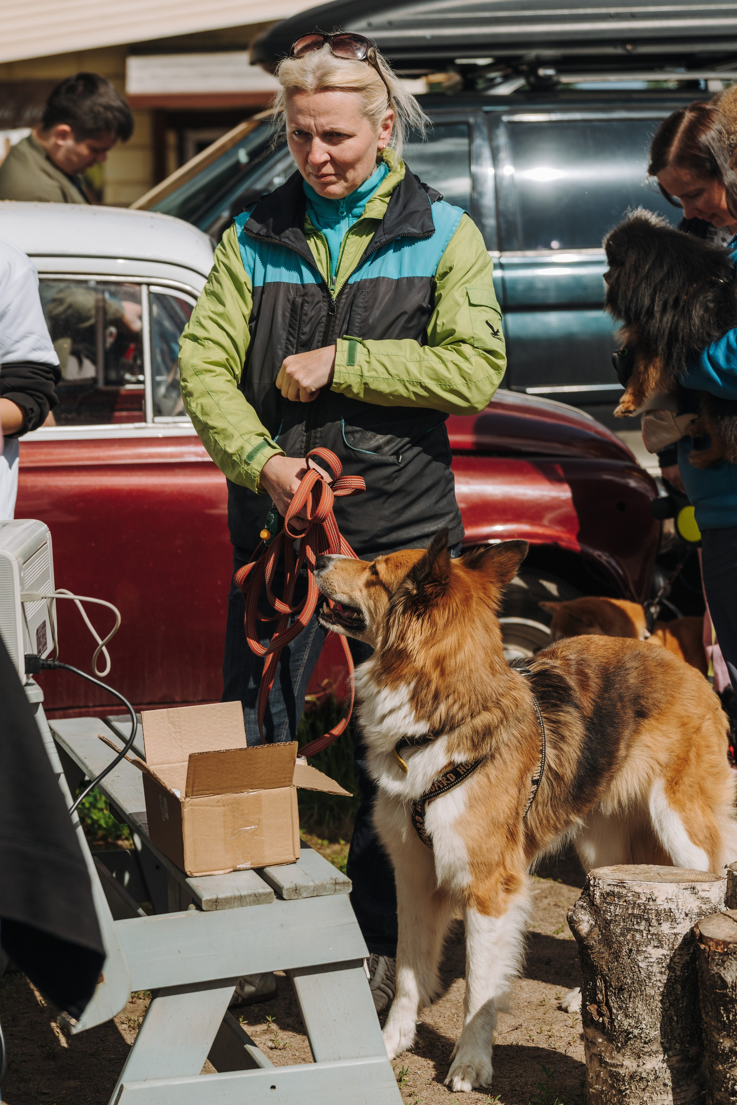 Соревнования по ноузворку. Фотограф анималист в Спб недорого Олеся Майорова