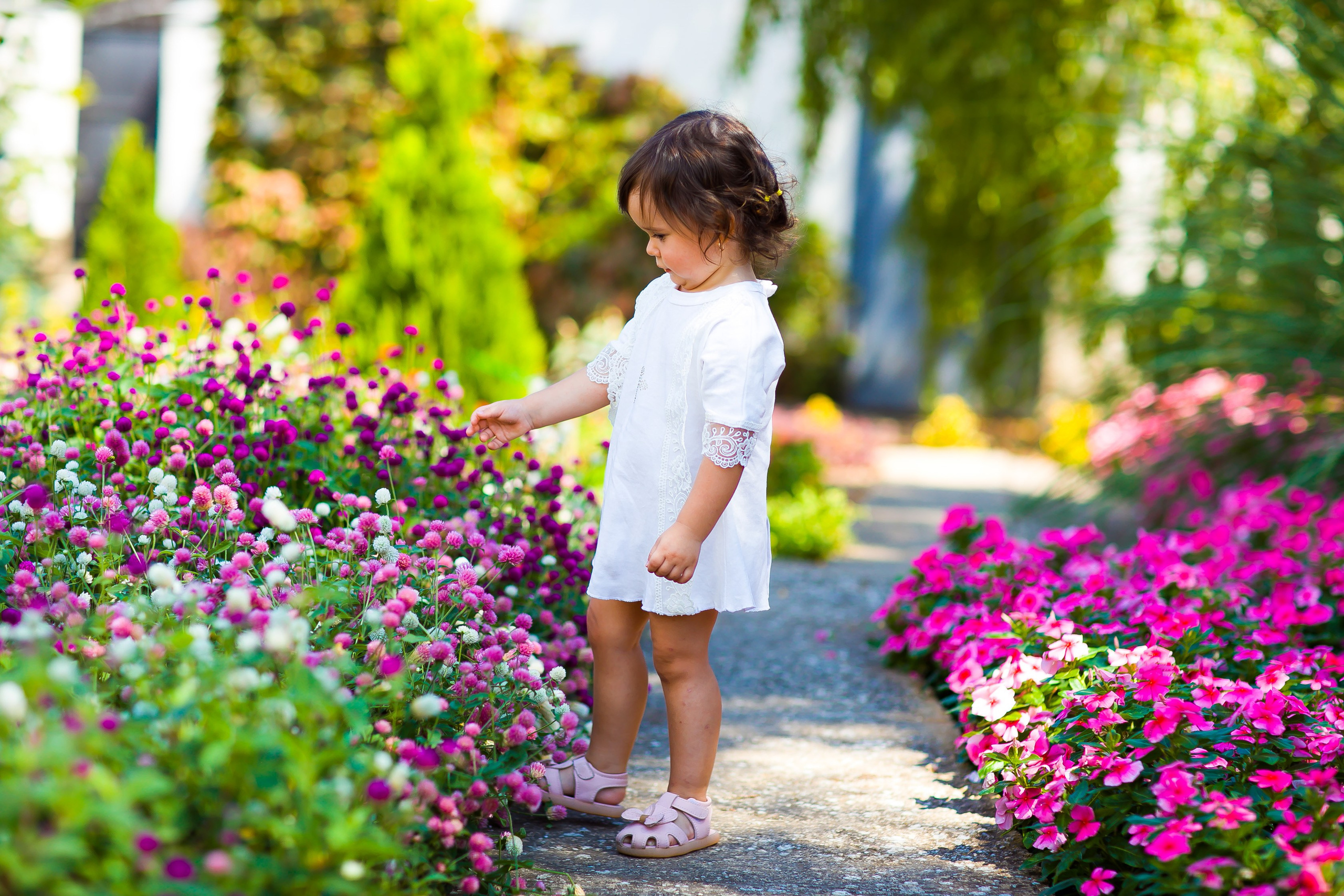 Крещение. Дизайн интерьера Керчь, дизайнер интерьера Еремина Мария Керчь, Симфер