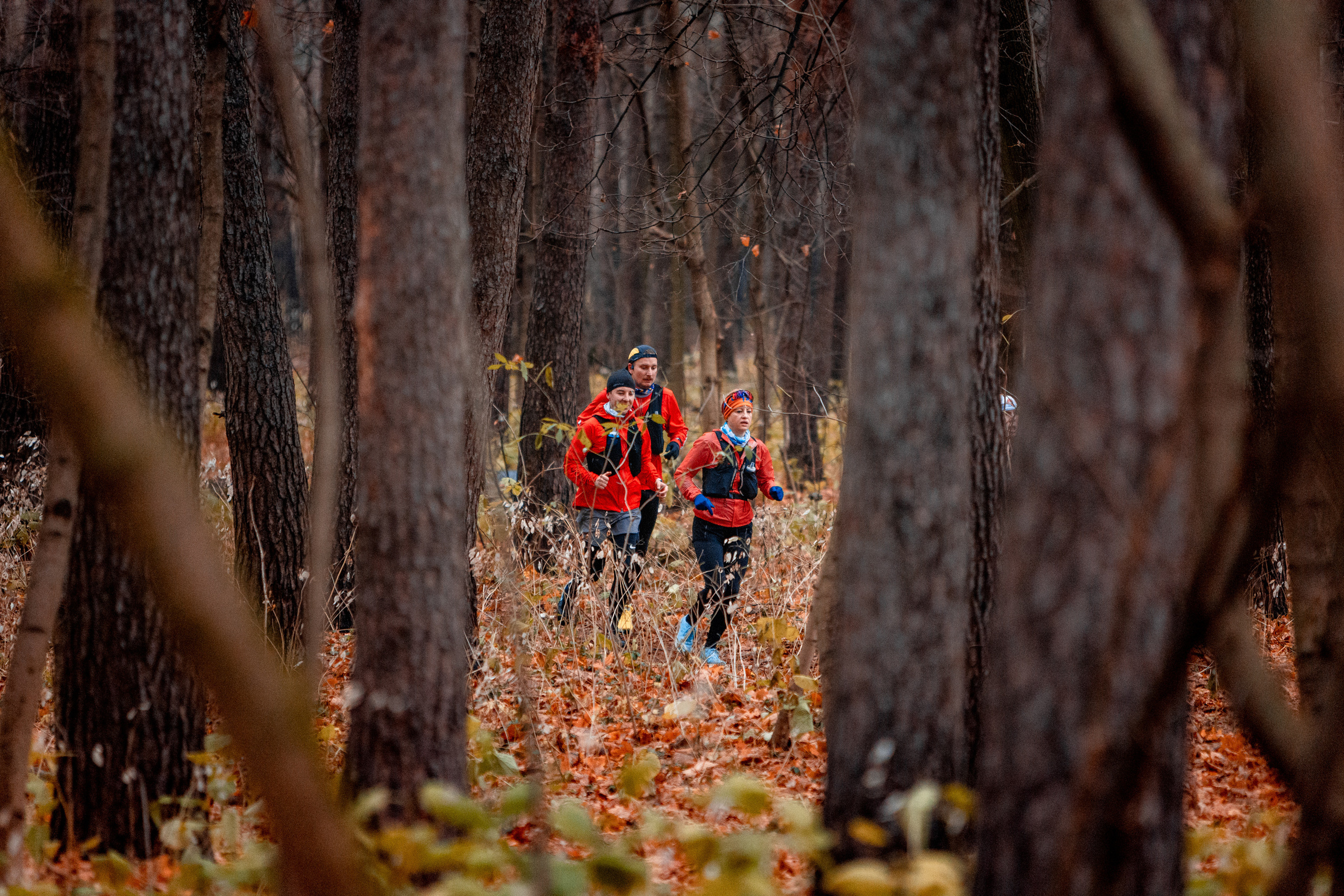 Зеленое кольцо Москвы 2021. Павел Шарапов | Фотограф | Москва