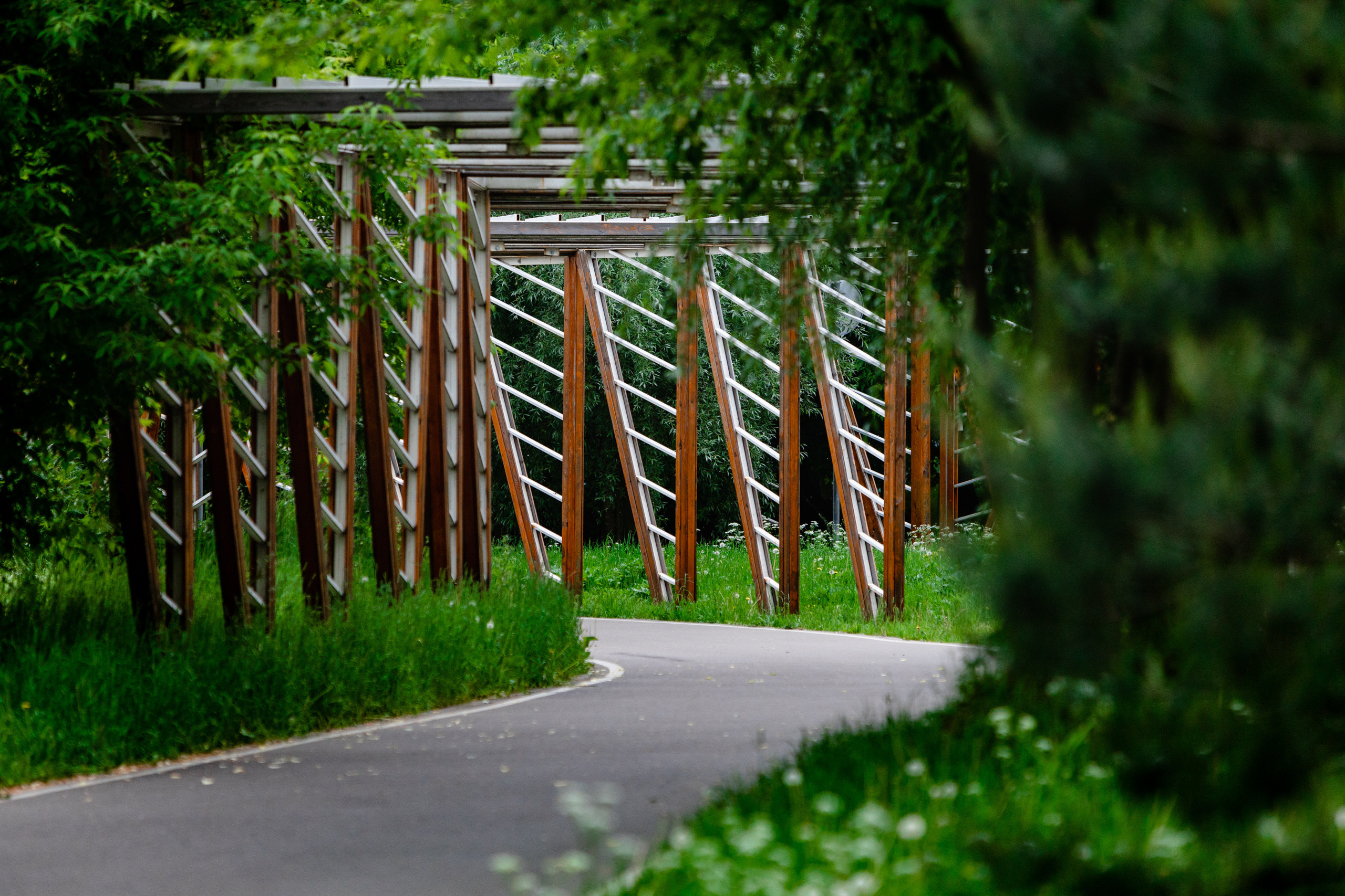 Марьинская гонка. Павел Шарапов | Фотограф | Москва