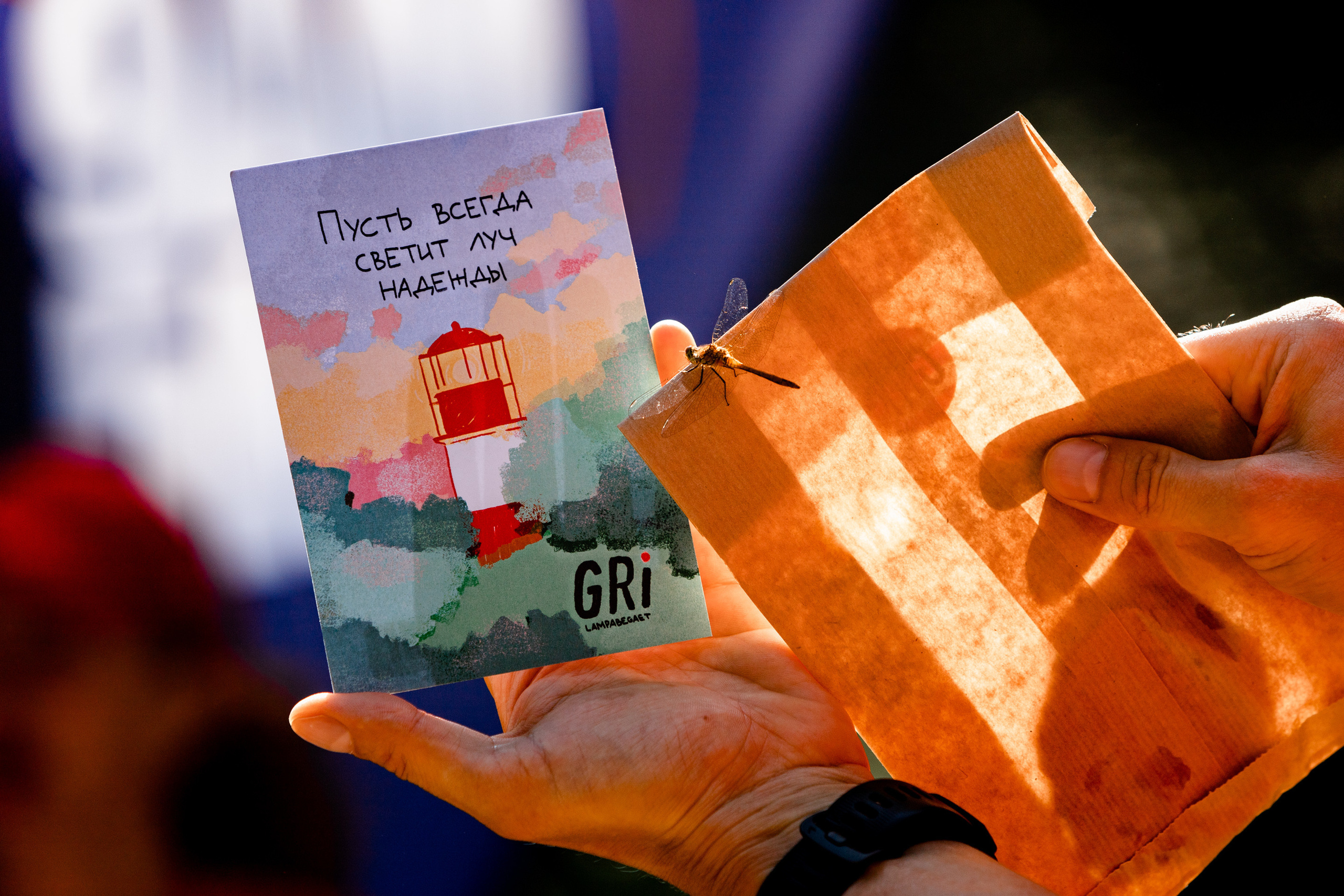 Отзывы. Павел Шарапов | Фотограф | Москва